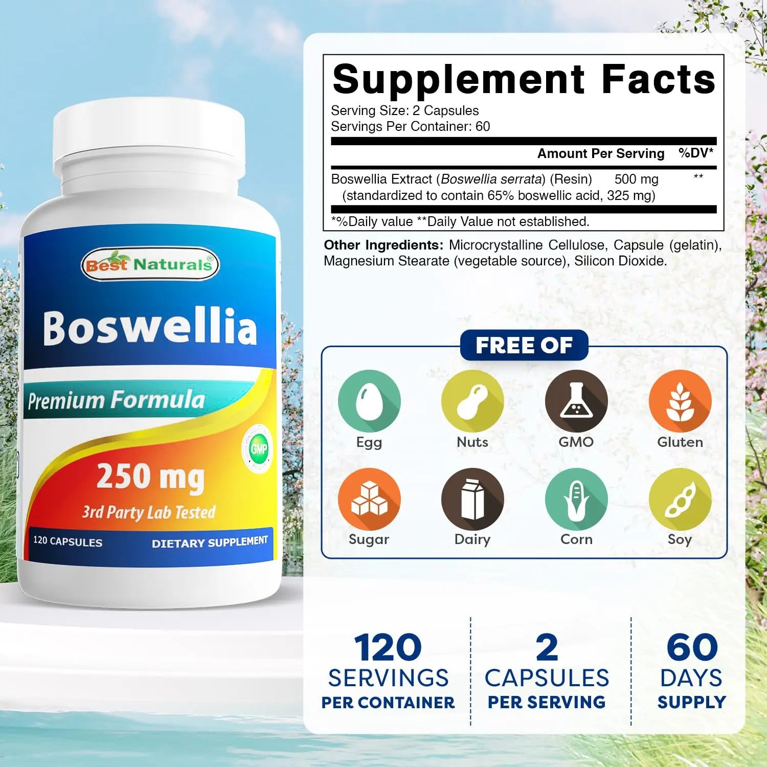 Best Naturals Boswellia Serrata Joint Health 250 mg 120 Capsules - Standardized to 65% Boswellic Acid (120 Count (Pack of 3)) Best Naturals uk supplements