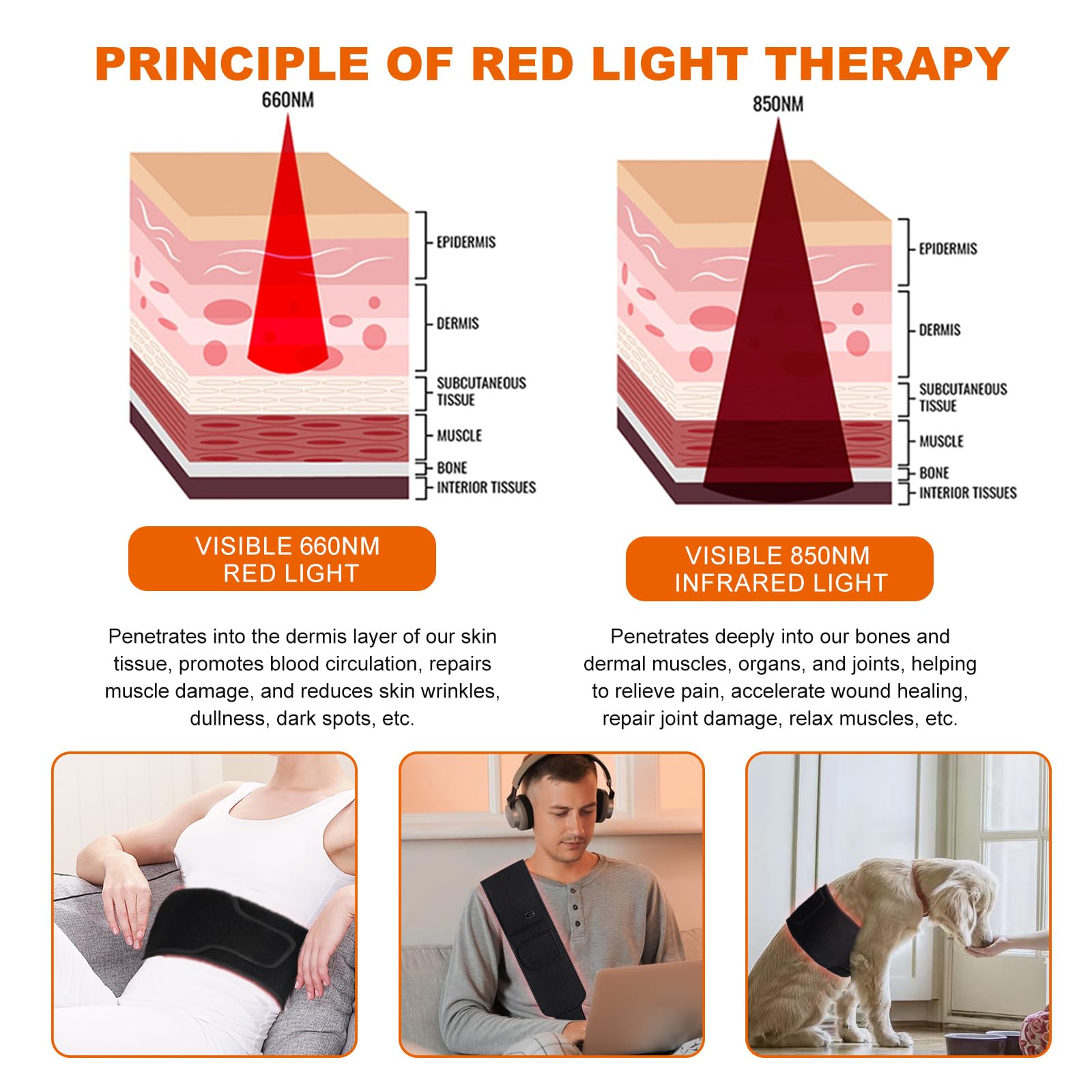 EquiZen Red Light Therapy Belt - Red Light Therapy for Body, Infrared Light Therapy Device EquiZen uk supplements