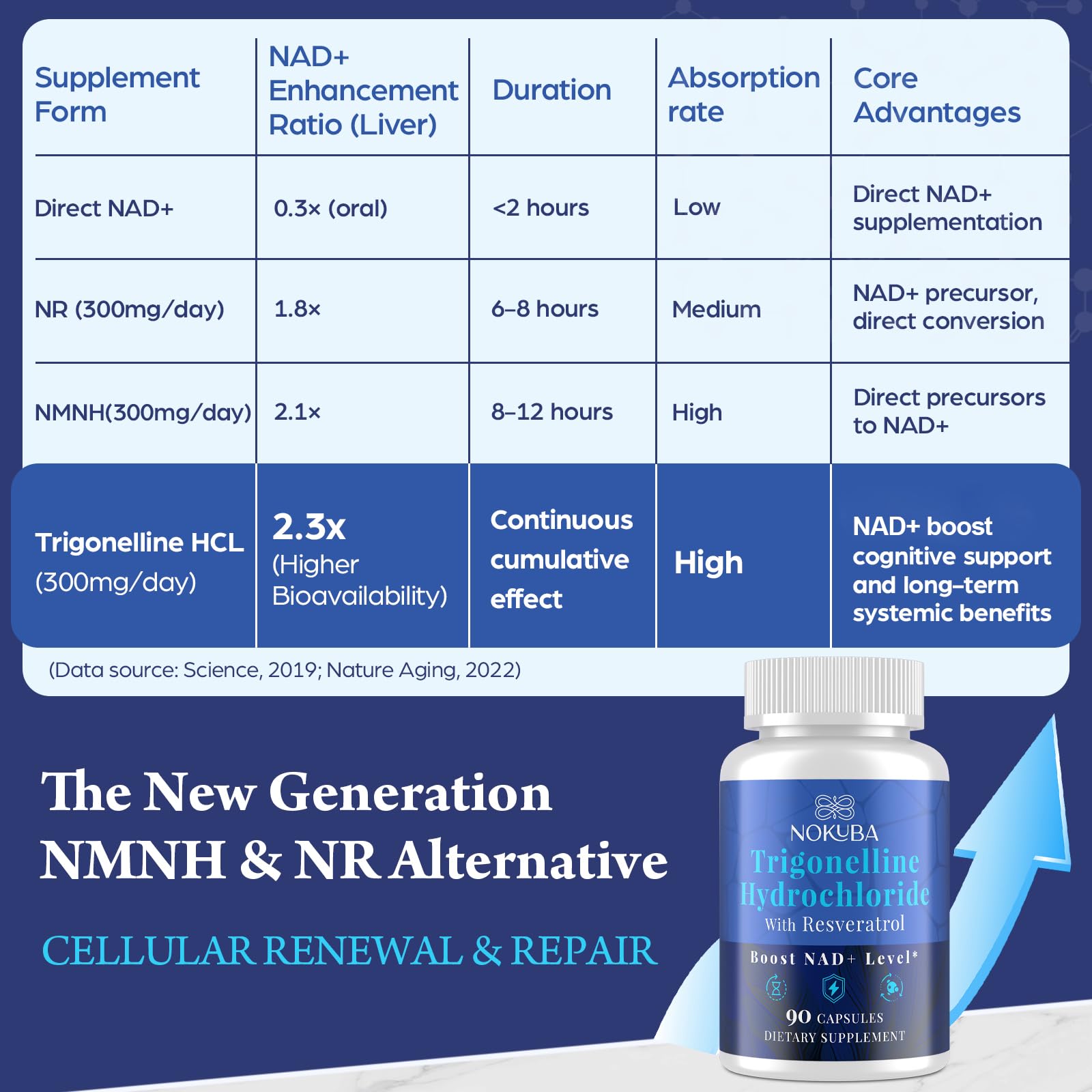 Nokuba NAD Supplement - NMNH Alternative with Trigonelline HCL 500mg & Resveratrol - NAD+ Precursors Plant Extraction - Support Cellular Energy & Healthy Aging & Brain for Women & Men - 90 Capsules Nokuba uk supplements