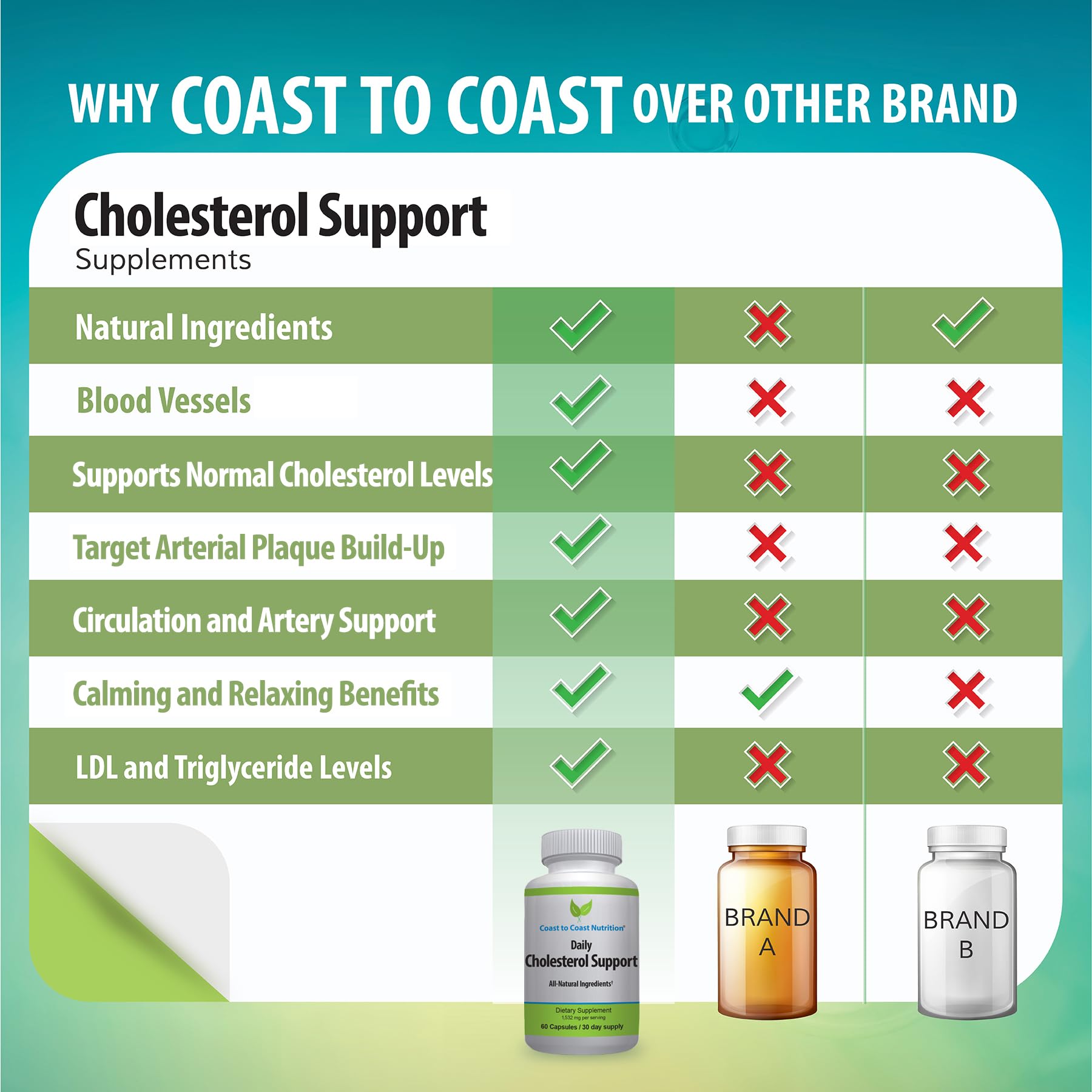 Coast to Coast Nutrition Cholesterol Support Supplement - Support Cardiovascular & Artery Performance, Target Bad LDL Levels & Plaque Calcium Buld-Up - Promote Circulation & Blood Flow - 60 Capsules Coast to Coast Nutrition uk supplements