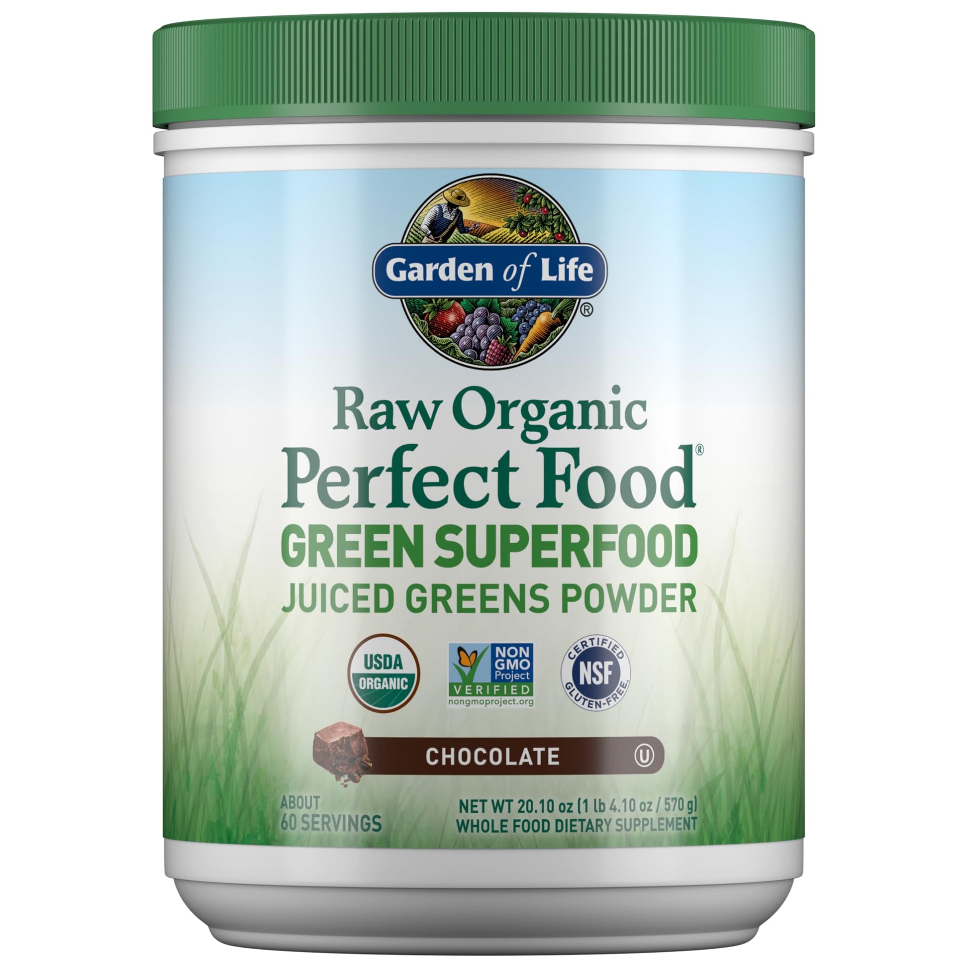 Garden of Life Raw Organic Perfect Food Green Superfood Juiced Greens Powder - Chocolate, 60 Servings, Non-GMO, Gluten Free, Vegan Whole Food Dietary Supplement Plus Probiotics, Enzymes Garden of Life uk supplements