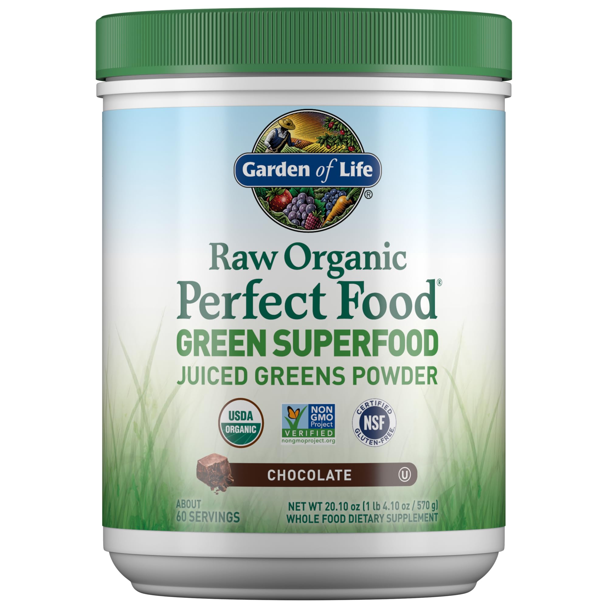 Garden of Life Raw Organic Perfect Food Green Superfood Juiced Greens Powder - Chocolate, 60 Servings, Non-GMO, Gluten Free, Vegan Whole Food Dietary Supplement Plus Probiotics, Enzymes Garden of Life uk supplements