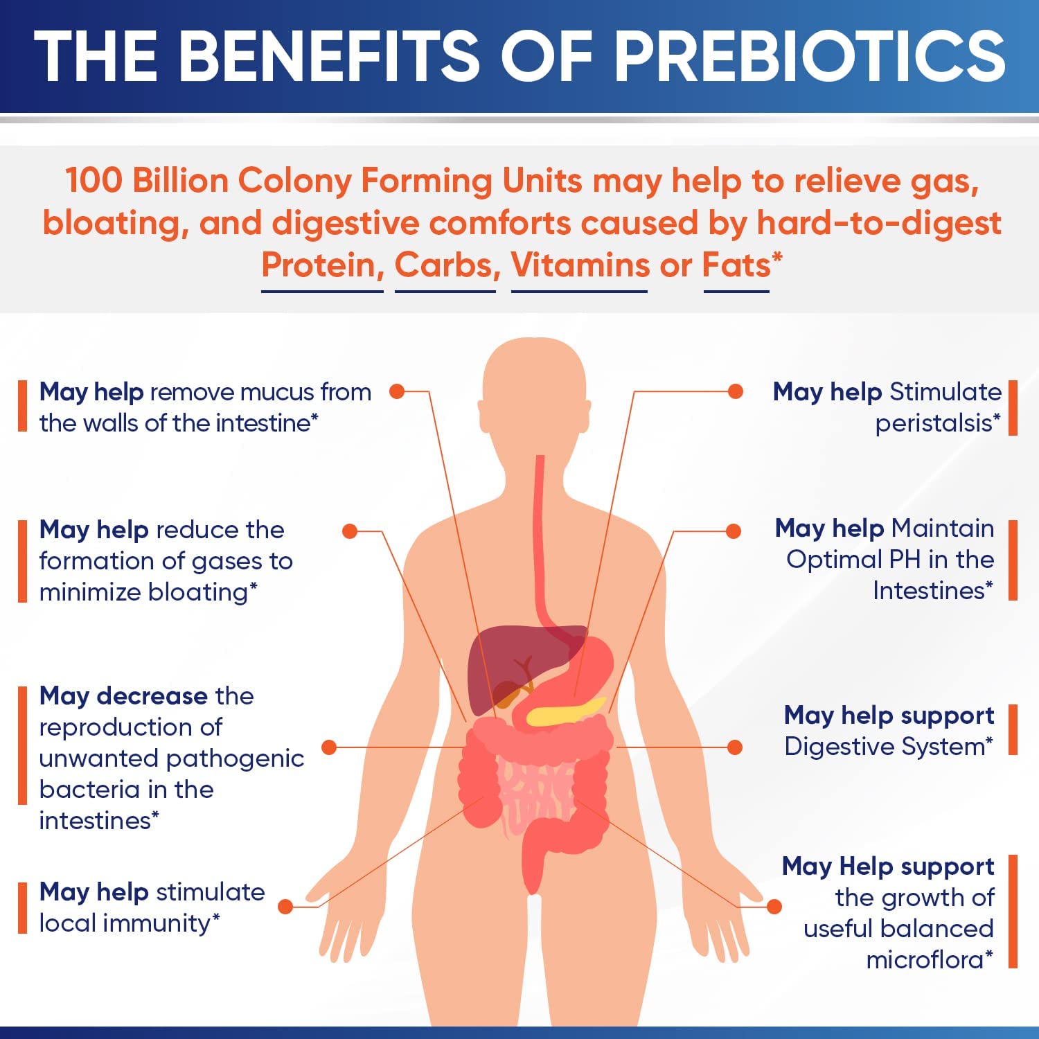 Organic Probiotics 100 Billion CFU, Dr Formulated Probiotics for Women, Probiotics Wholesome Wellness uk supplements