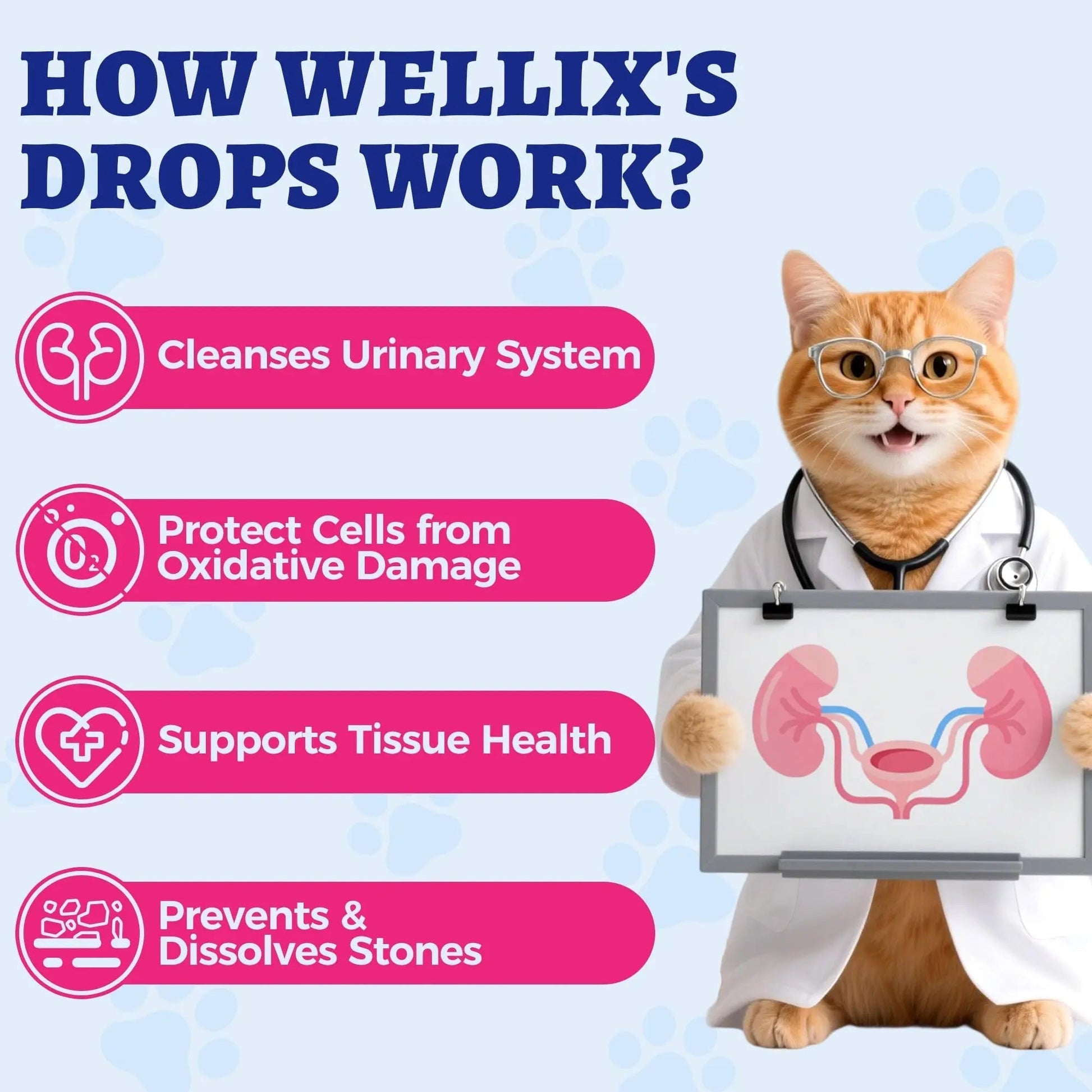 4oz Wellix Natural Cat & Dog UTI Treatment Drops,Cat & Dog Urinary Tract Infection Treatment - Cranberry & D-Mannose for Dogs & Cats - Kidney Health Supplement Wellix uk supplements