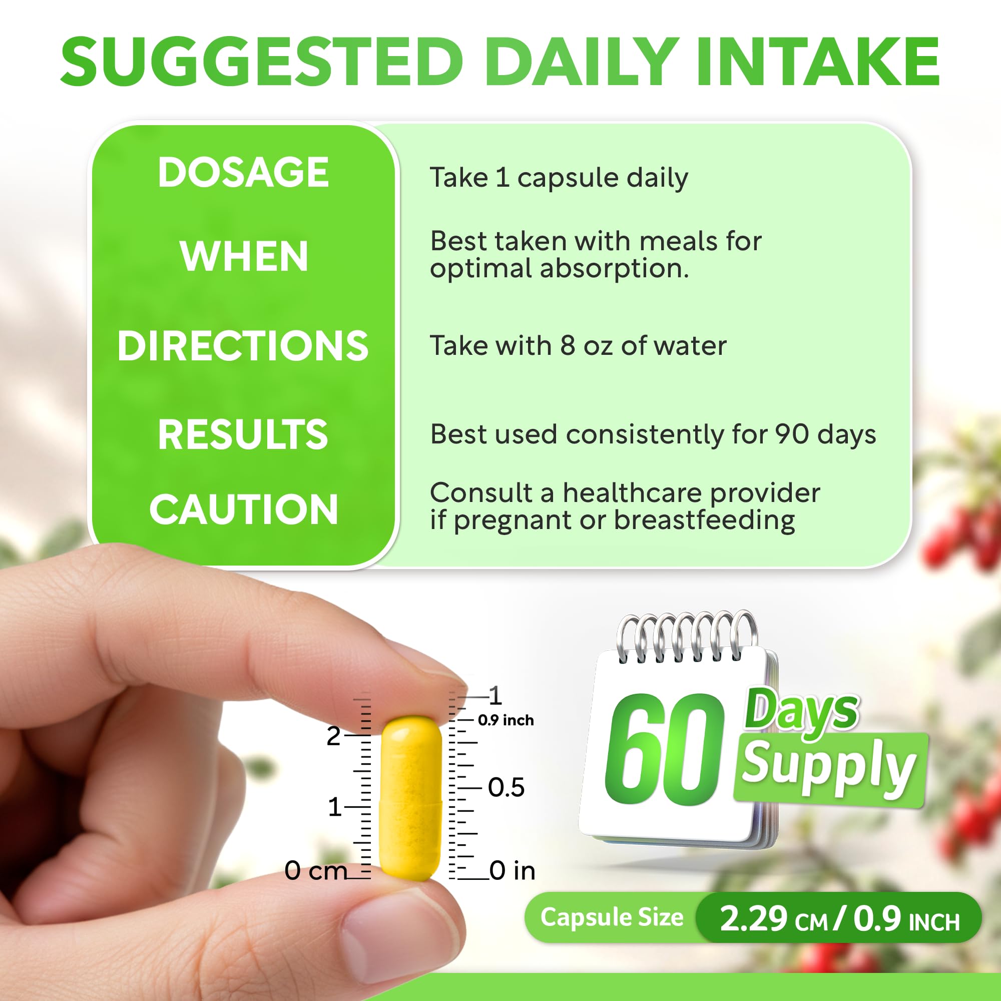 Dalnara Dihydroberberine Capsules 250mg, 60 Count - Supports Metabolic Wellness & Balanced Energy, Non-GMO,Dihydroberberine Supplement Dalnara uk supplements