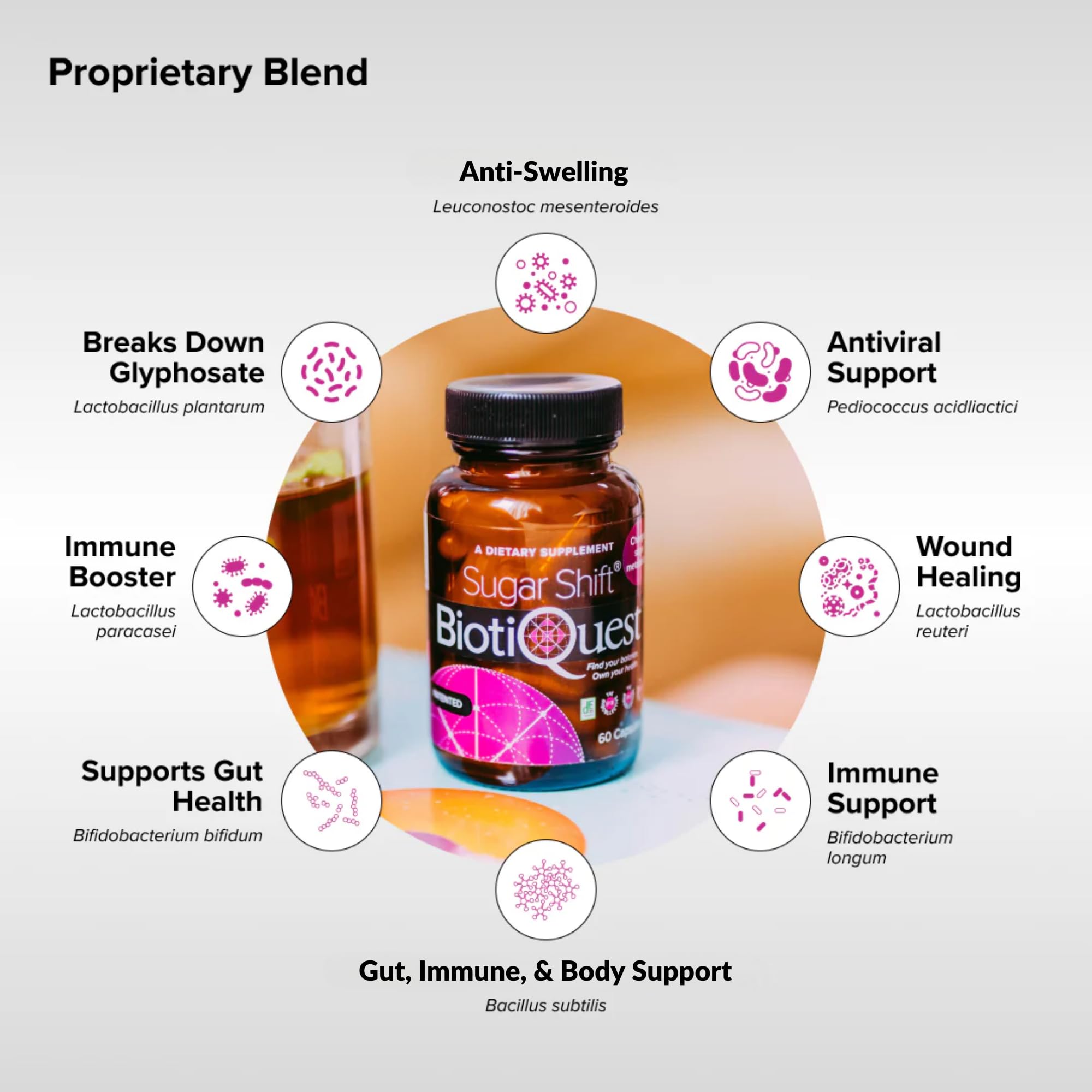 BiotiQuest Sugar Shift Probiotic | Helps Decrease Sugar & Carb Cravings and Supports Digestive Balance | 22 Billion CFU | Non-GMO, Gluten-Free, & Vegan | 60 Servings BiotiQuest uk supplements
