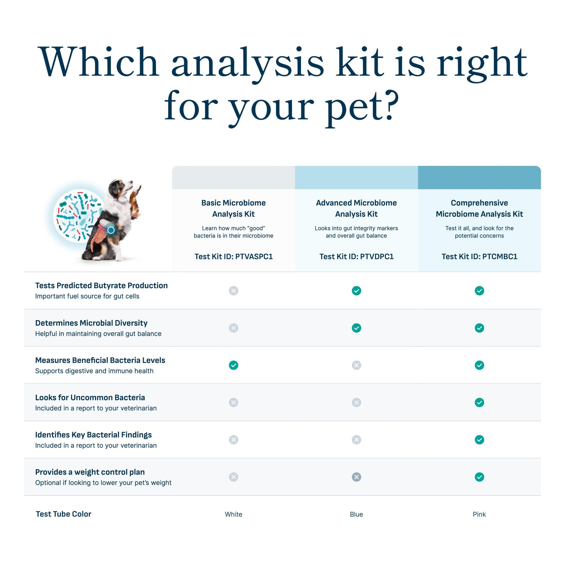 Petivity Microbiome Analysis Kit — Basic for Cats and Dogs, Powered by Purina - 4.8 oz. Box petivity uk supplements