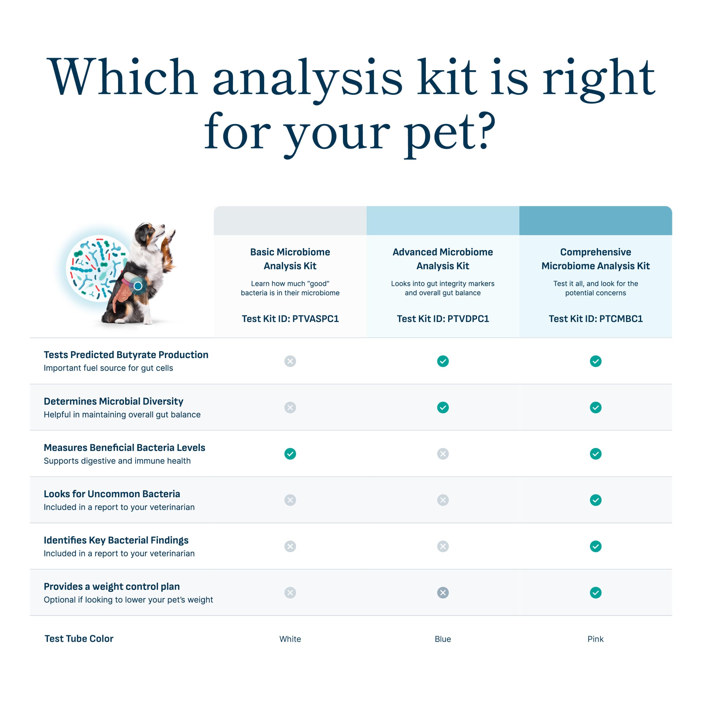 Petivity Microbiome Analysis Kit — Basic for Cats and Dogs, Powered by Purina - 4.8 oz. Box petivity uk supplements