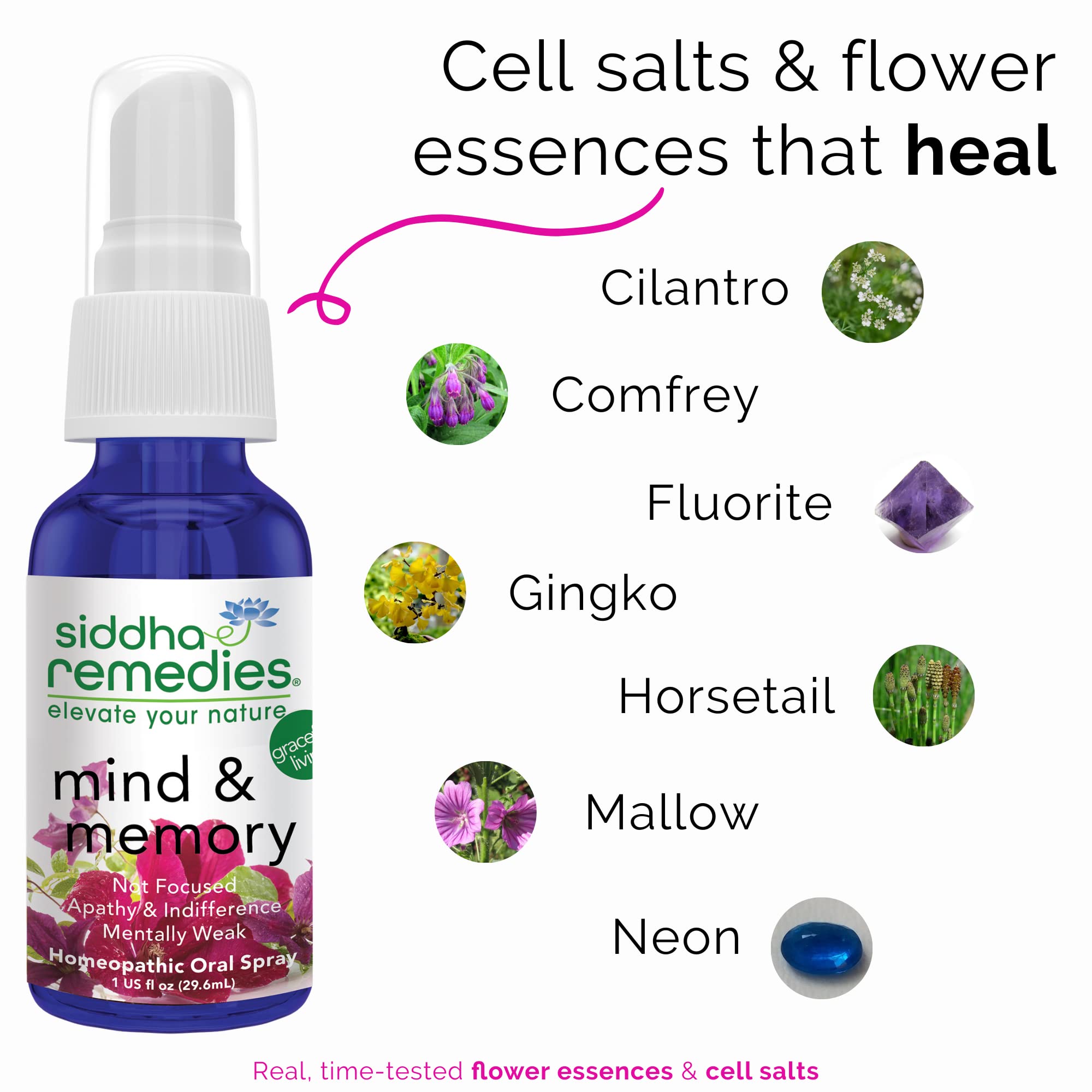 Siddha Remedies Mind & Memory Spray for Apathy, Indifference & Low Focus Siddha uk supplements