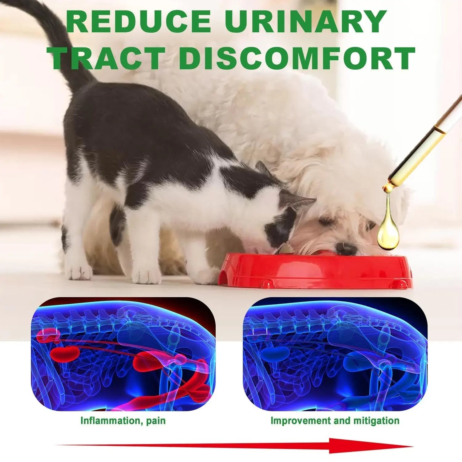 Urinary Tract for Cats, Cat & Dog Urinary Tract Drops Infection Remedy with Cranberry Dog Supplements, Cranberry Kidney Bladder Support Supplement - 60ml / 2 Fl.oz JoanofArc uk supplements