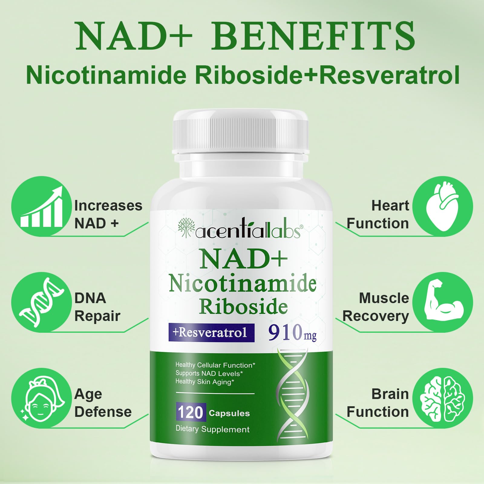 XINSZLIN NAD Supplement, NAD Nicotinamide Riboside Resveratrol 910mg, High Purity NAD Supplement for Healthy Cellular Function, Supports NAD Levels Healthy Skin Aging Dietary Supplement 120 Capsules XINSZLIN uk supplements