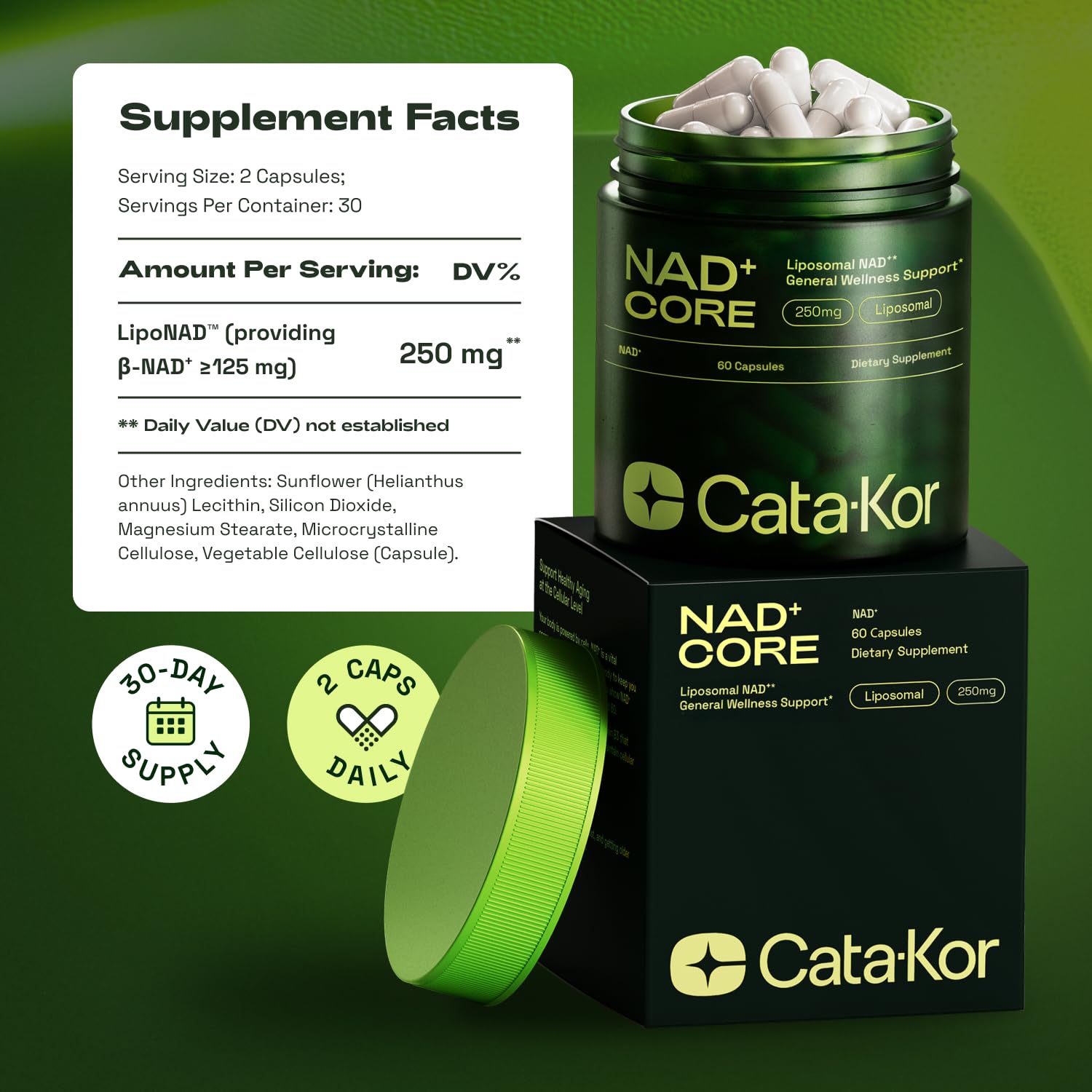 Cata-Kor NMN Supplement Alternative – Liposomal NAD+ Supplement – Third-Party Tested – NAD CORE – 30-Day Supply – 60 Capsules Cata-Kor uk supplements
