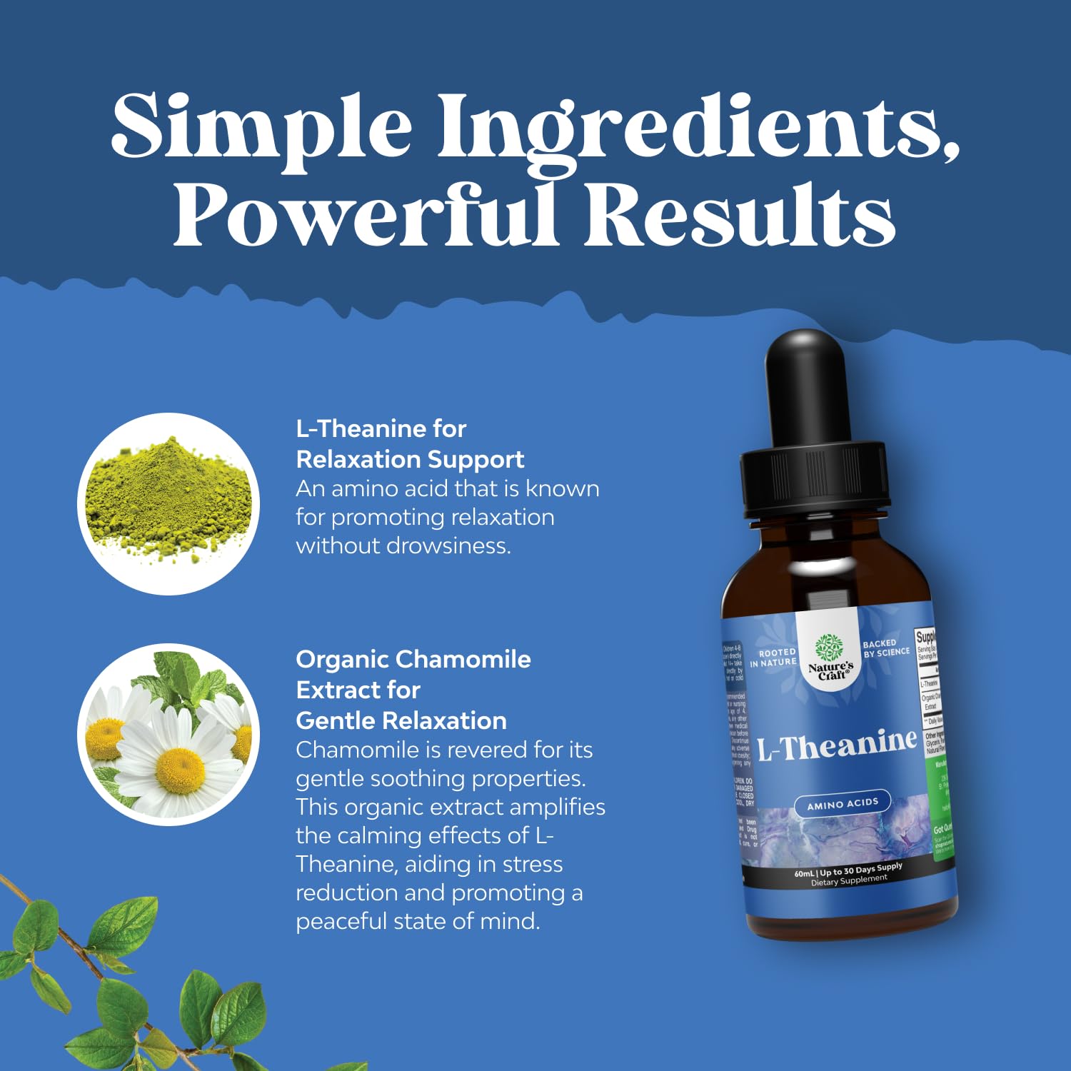 High Absorption L-Theanine Liquid Drops - Nootropic Focus Supplement with L Theanine 200mg Per Serving and Chamomile Extract Supplement for Adults and Kids Relaxation and Focus - 2 Fl Oz Natures Craft uk supplements