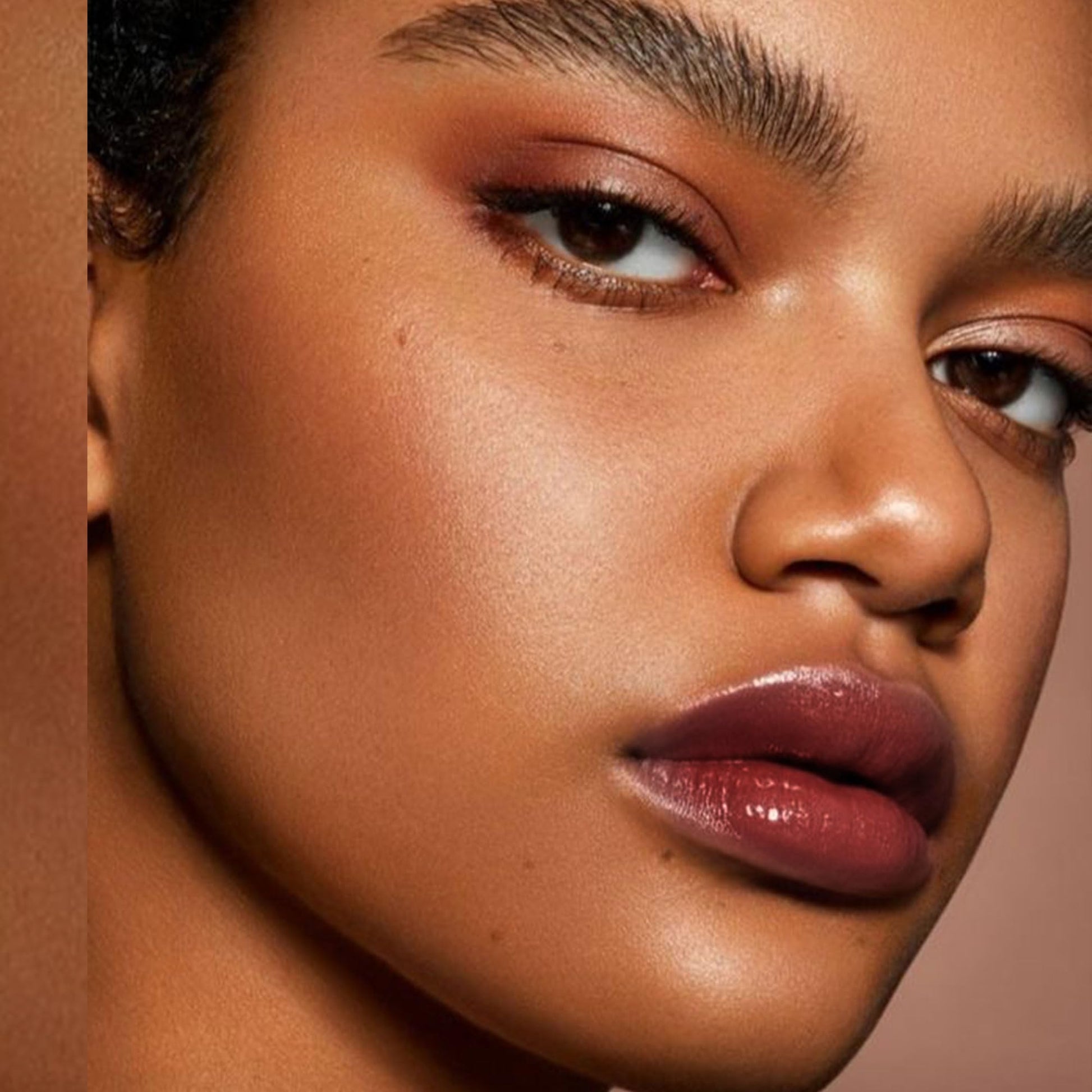 Depuplum Black Berry Lipstick for Women Hydrate Glossy Lipstick Moisture Lip Gloss Sheer-Medium Coverage Long Lasting Lipsticks for Dry Lips (DM65 Berry) Depuplum uk supplements