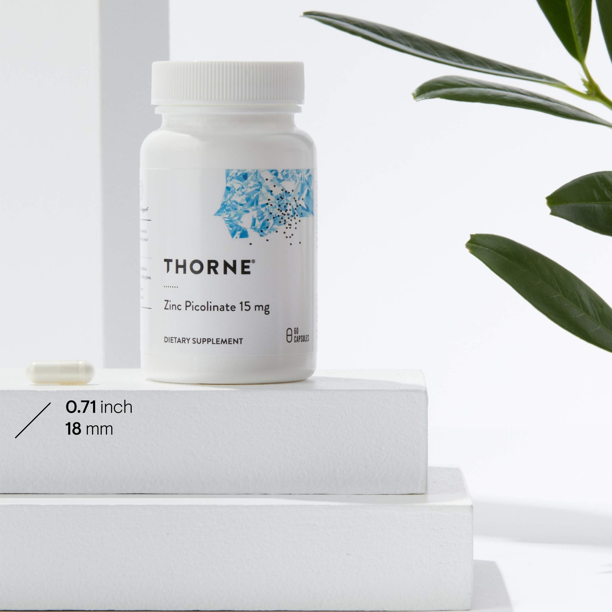 Thorne Zinc Picolinate 15mg - Highly Absorbable Zinc Supplement - Supports Wellness THORNE uk supplements