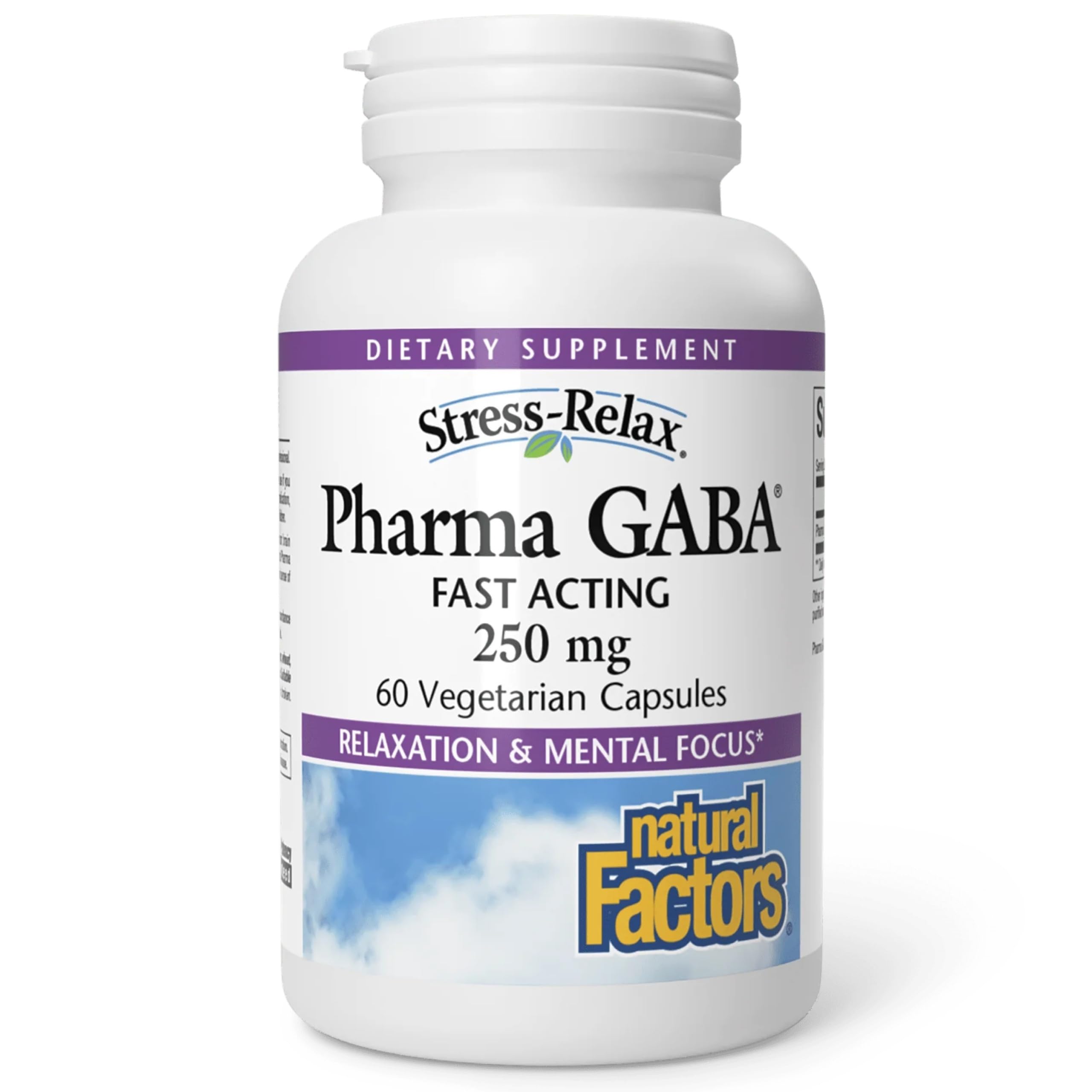 Natural Factors Pharma GABA - Dietary Supplement Supports Calm Sleep & Sleep Quality - Natural, Fast-Working Supplement Aids Focus & Brain Health - 60 Chewable Tablets (60 Servings) Natural Factors uk supplements
