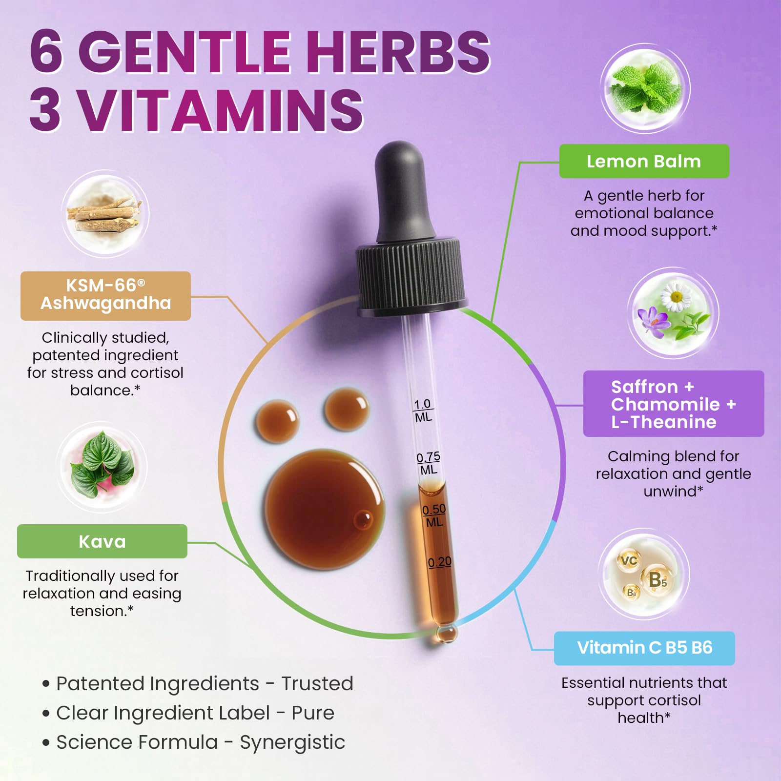 Cortisol Supplements for Women, Cortisol Reducer Manager Detox with KSM-66® Ashwagandha, Kava, Lemon Balm & Vitamin C B5 B6, Lower Cortisol, Hormone Harmony Liquid Drops, 2 FL.OZ, Blueberry Flavor Lukaree uk supplements