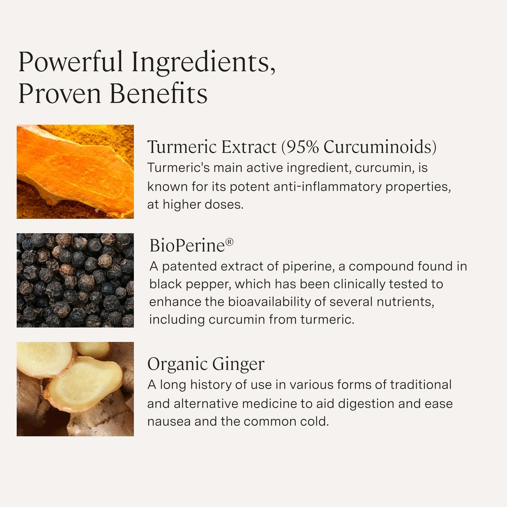 Stonehenge Health Dynamic Turmeric Curcumin with Ginger - High Potency - 1,650 mg Turmeric with 95% Curcuminoids & BioPerine, 90 Vegetarian Capsules Stonehenge Health uk supplements
