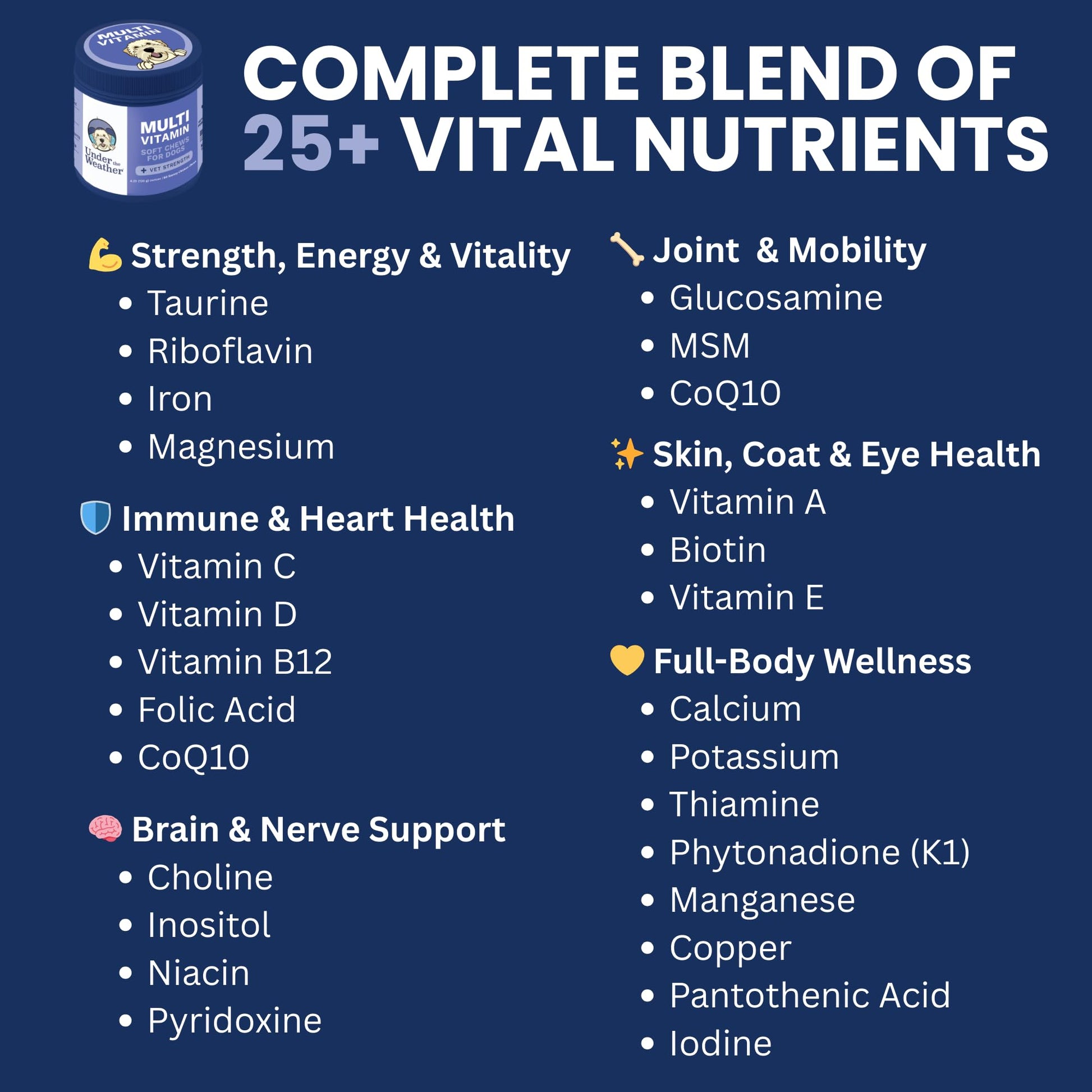 Under the Weather Multivitamin for Dogs | Vet Formulated Daily Canine Health Supplies for Immunity, Skin, Coat & Joint Support | All-in-One Multivitamin for Dogs of All Breeds & Sizes | 60 Count Under the Weather uk supplements