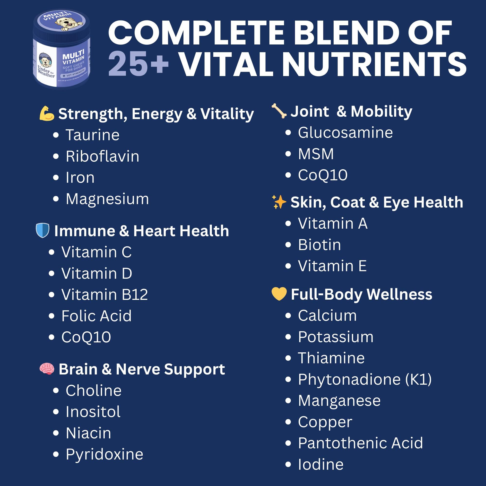 Under the Weather Multivitamin for Dogs | Vet Formulated Daily Canine Health Supplies for Immunity, Skin, Coat & Joint Support | All-in-One Multivitamin for Dogs of All Breeds & Sizes | 60 Count Under the Weather uk supplements