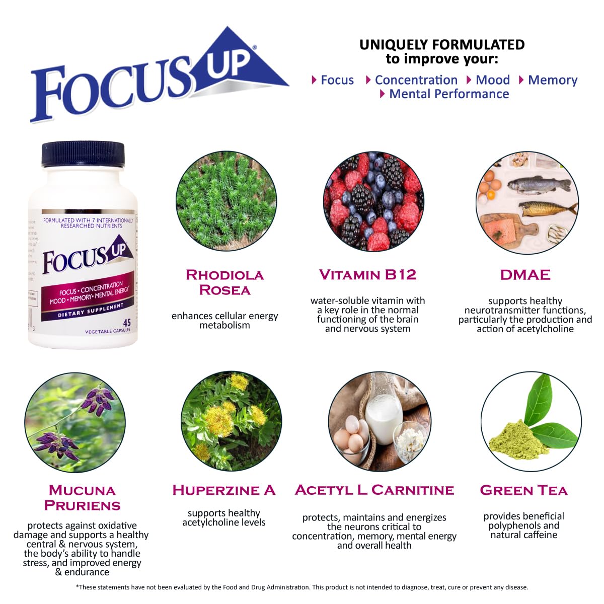 FocusUP Brain & Energy Support Supplement – Natural Nootropic Capsules with Acetyl L-Carnitine, Rhodiola, DMAE & Huperzine-A | Supports Focus, Memory, Mood & Mental Clarity | 45 Sugar-Free Capsules Xooma uk supplements