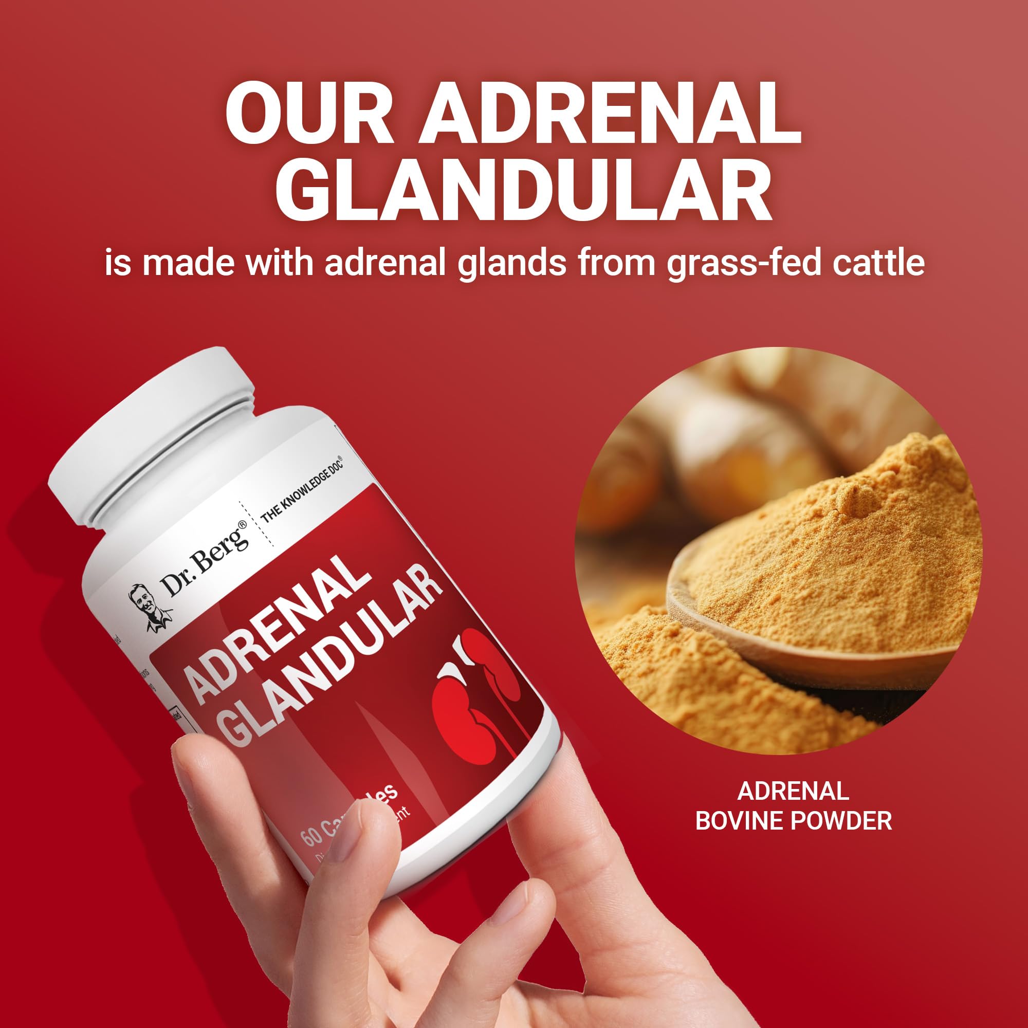 Dr. Berg Adrenal Glandular - Hormone Balance Formula That Supports Healthy Adrenal Function - Adrenal Support Supplement - 60 Capsules Dr. Berg Nutritionals uk supplements