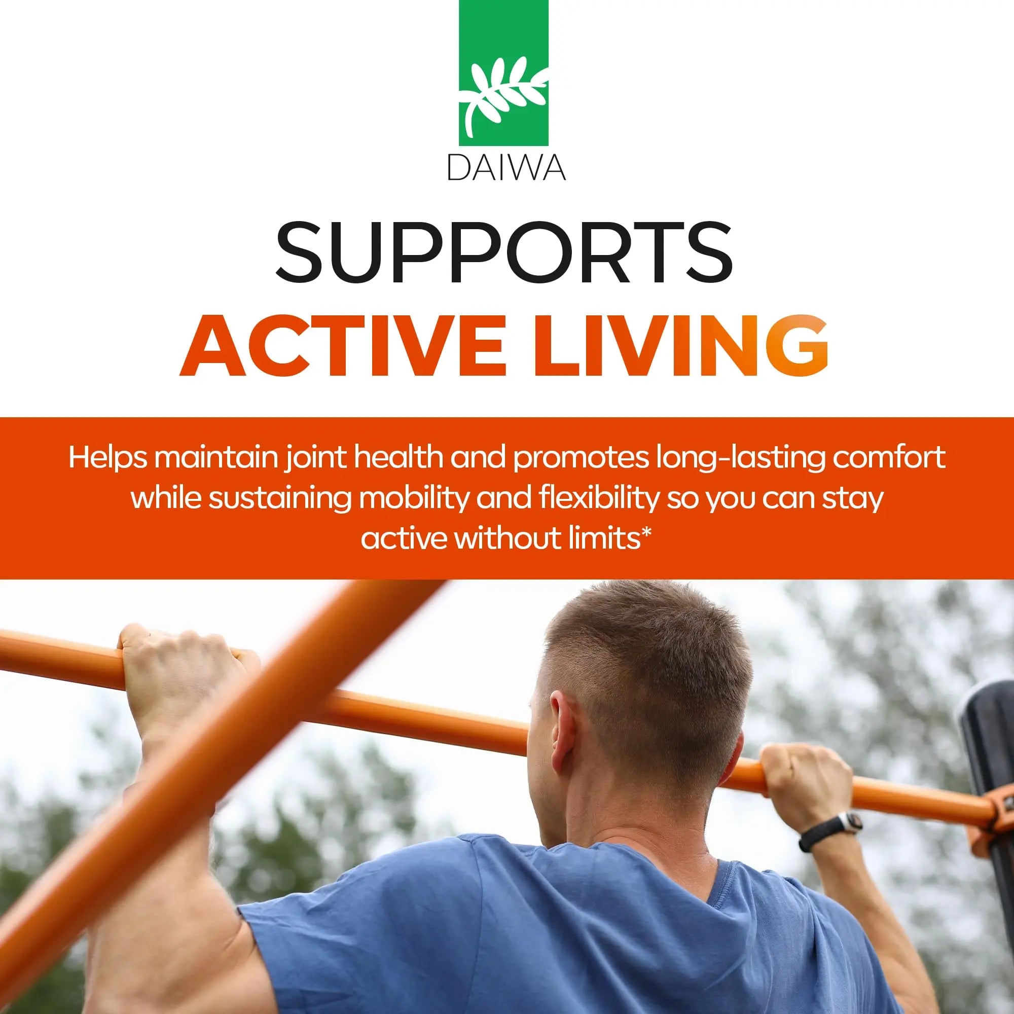 Daiwa Joint Health - Tendon and Ligament Supplements with Chinese Skullcap and Acacia Catechu - Traditional Plant-Based Formula for Active Lifestyles - Non-GMO, 30 Vegetarian Capsules Daiwa Health Development uk supplements