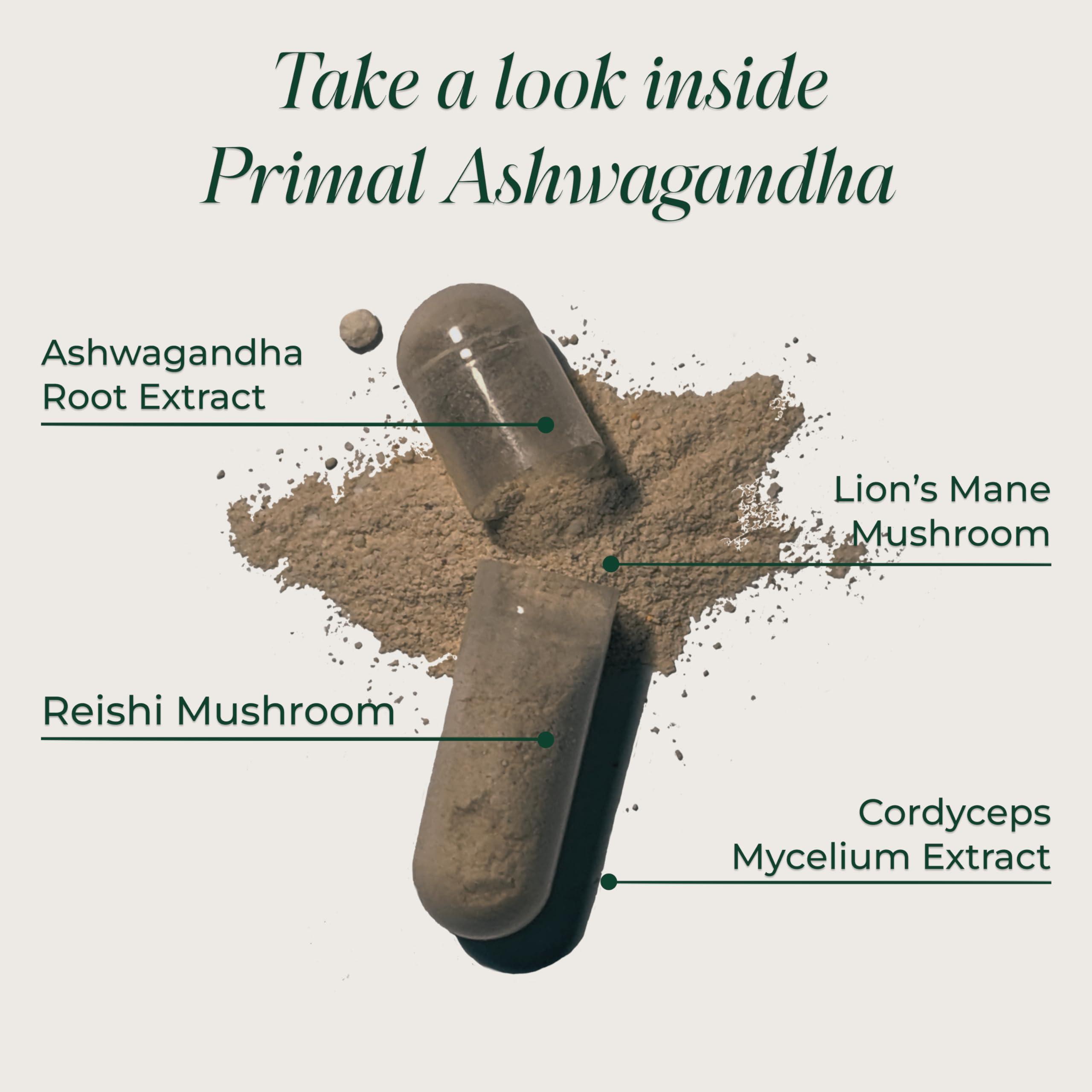 Primal Harvest Ashwagandha Supplement with 5 Mushroom Extracts: Lion’s Mane, Reishi, Cordyceps, Turkey Tail & Maitake for Immune Support & Cognitive Health Primal Harvest uk supplements