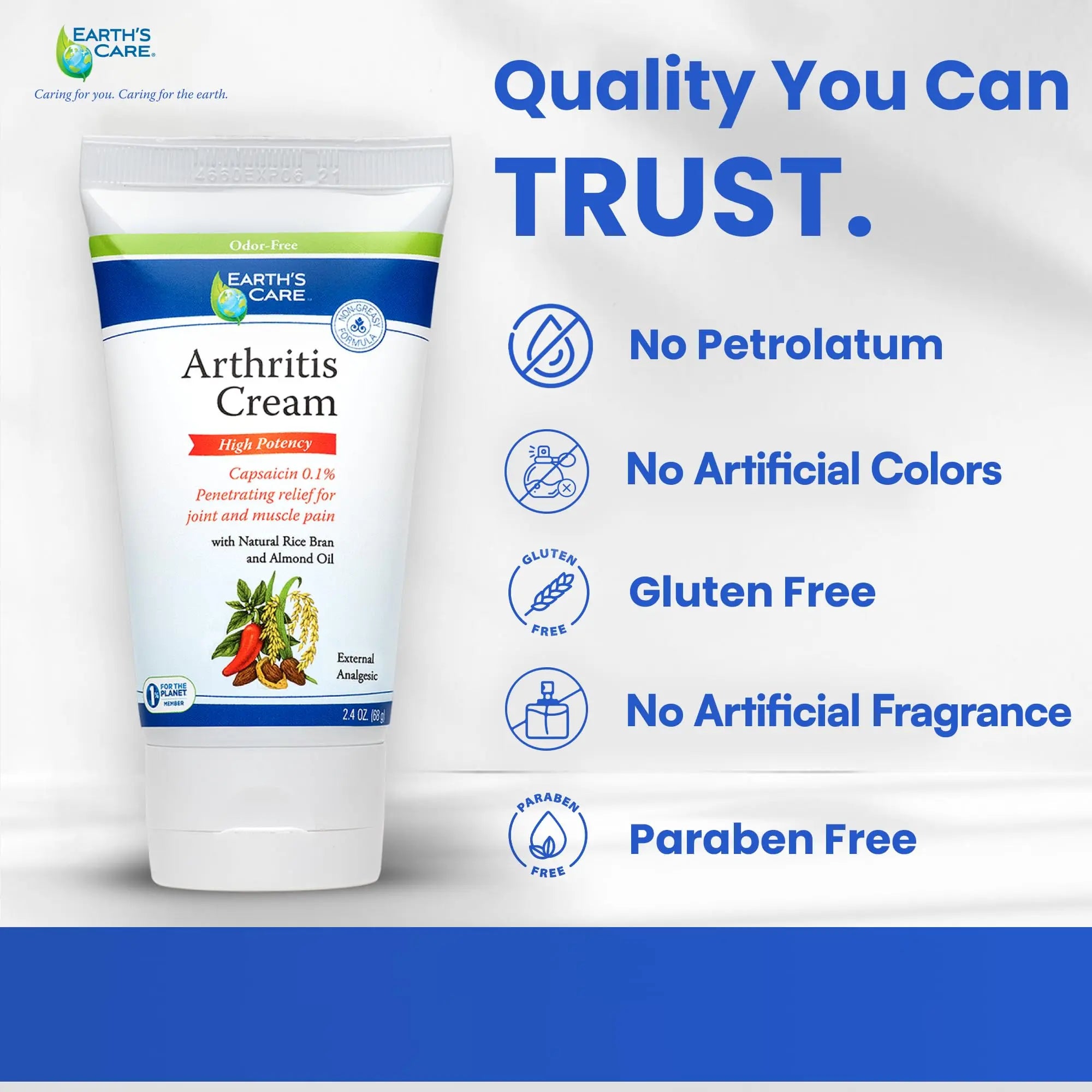 Earth's Care Arthritis Cream - Joint Cream with Natural Capsaicin - Topical Analgesic 2.4 OZ (Pack of 2) Earth's Care uk supplements