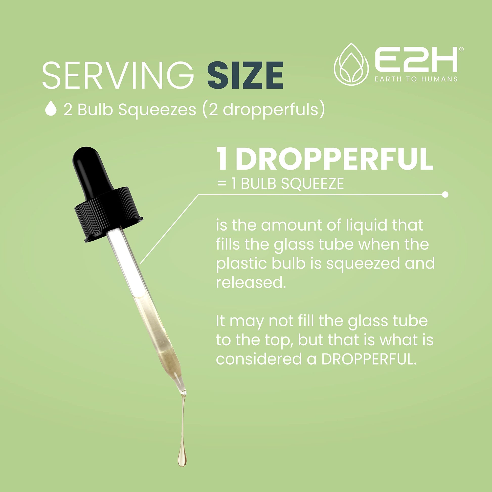 E2H Ashwagandha Liquid Drops - All-Natural Ashwagandha Supplement for Stress Relief and Mood Enhancer- Organic Ashwagandha Root Extract Effective Cortisol Manager | Non-GMO, Vegan | 2 Fl Oz E2H EARTH TO HUMANS uk supplements