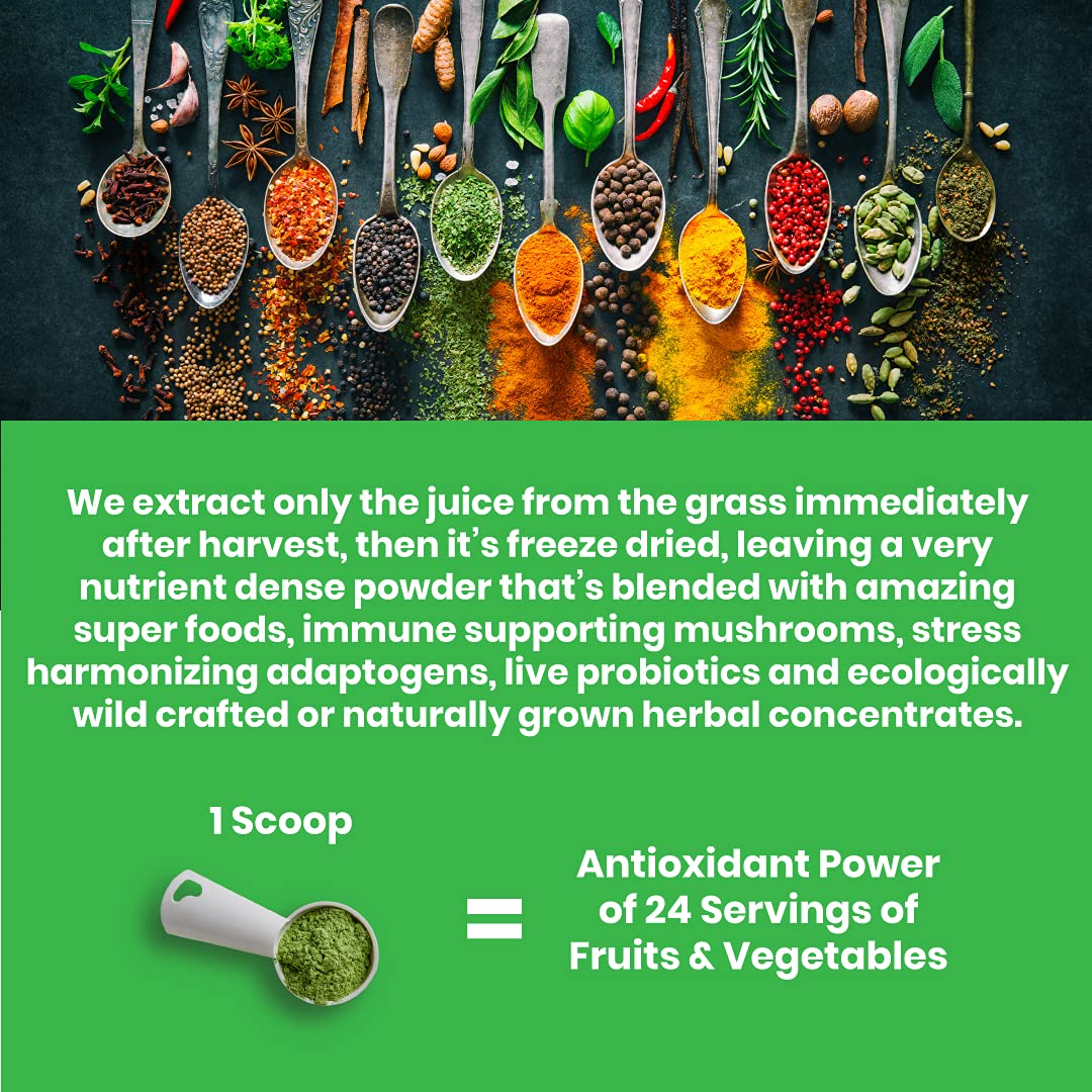 Paradise ORAC Energy Greens Powder Extract, Super Antioxidants, Probiotics for Gut Paradise Herbs uk supplements