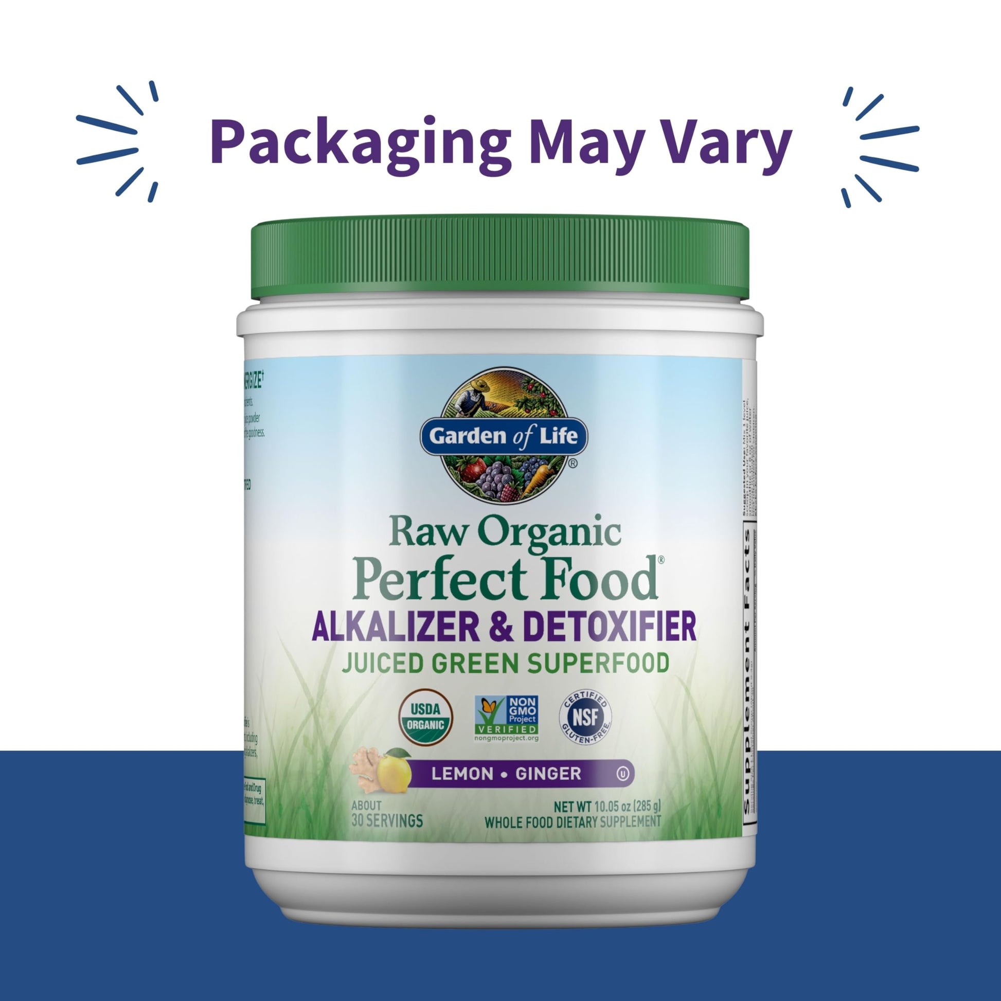 Garden of Life Raw Organic Perfect Food Alkalizer and Detoxifier, Lemon Ginger Flavored Superfood Powder Supplement, 30 Servings Garden of Life uk supplements