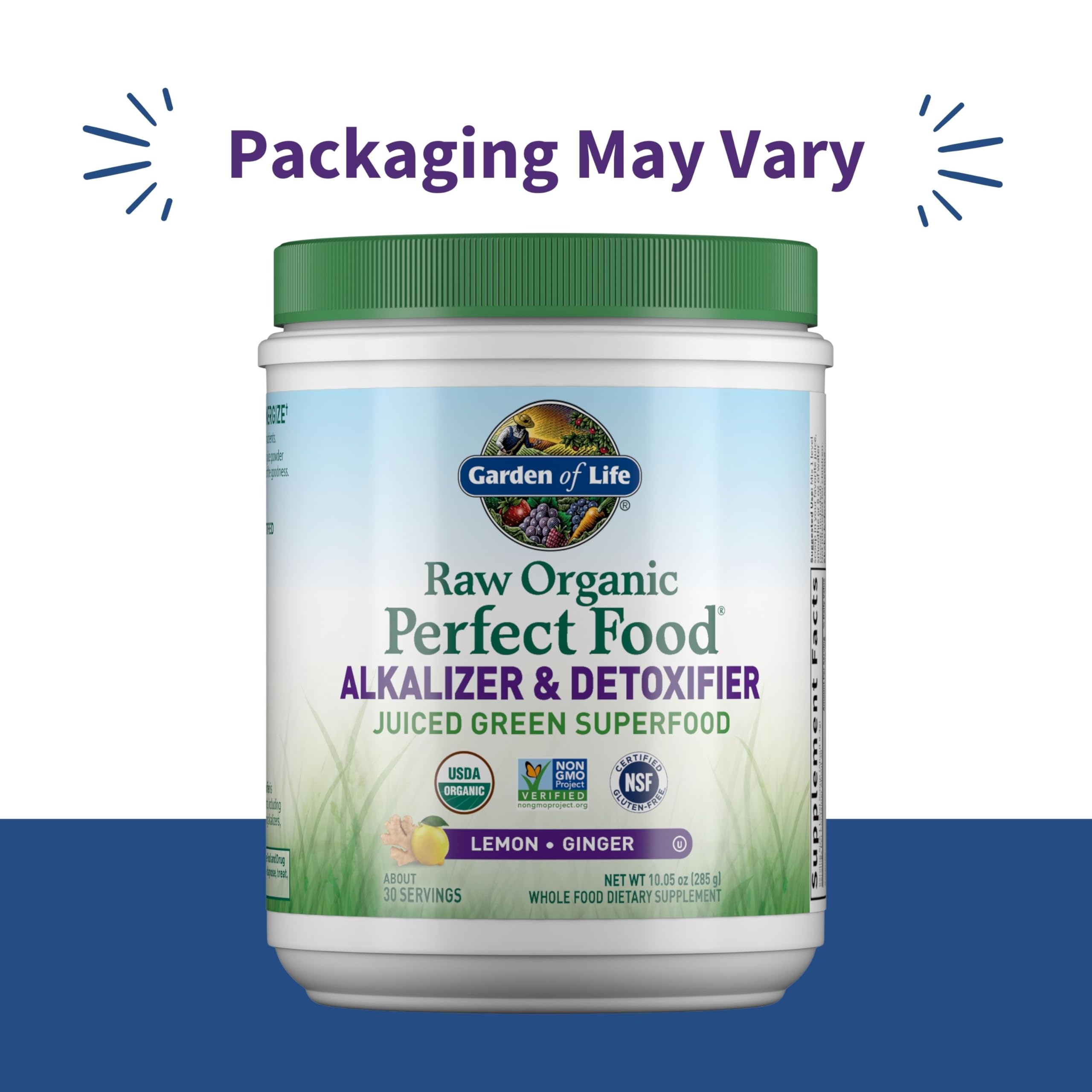 Garden of Life Raw Organic Perfect Food Alkalizer and Detoxifier, Lemon Ginger Flavored Superfood Powder Supplement, 30 Servings Garden of Life uk supplements