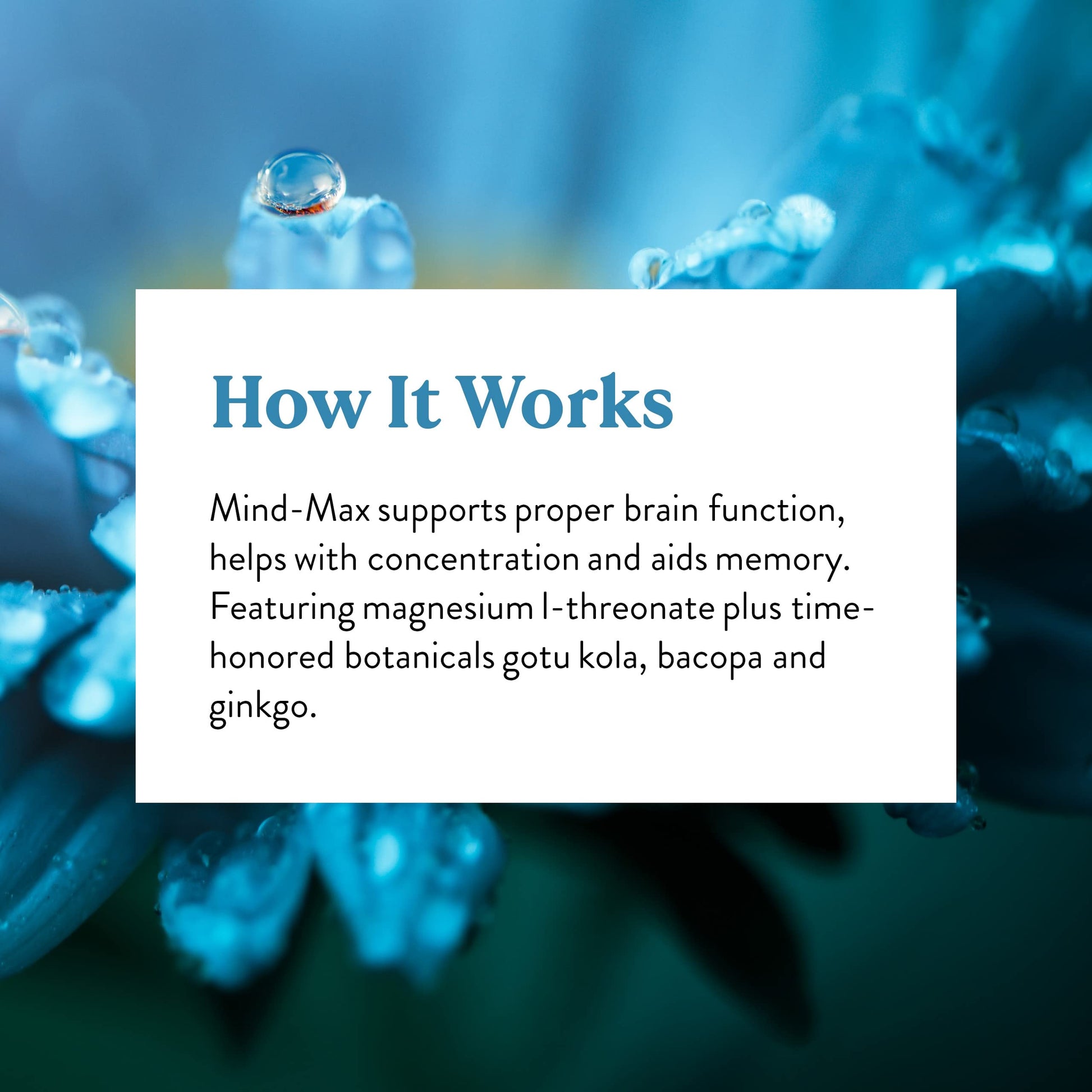 Nature's Sunshine Mind-Max 90 Capsules Nature's Sunshine uk supplements