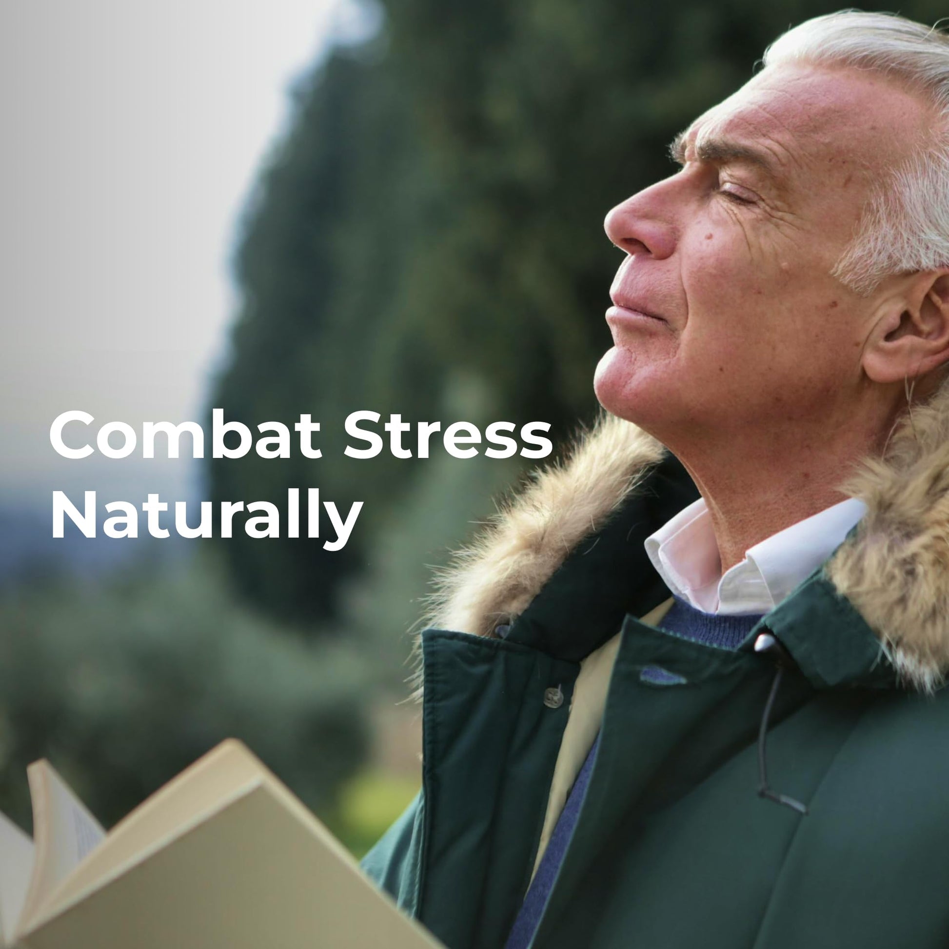 Youngevity Ultimate D-Stress™ – Natural Stress Relief Supplement with Magnesium, Valerian Root Extract, and B Vitamins – Supports Adrenal Health and Nervous System – 120 Capsules Youngevity uk supplements