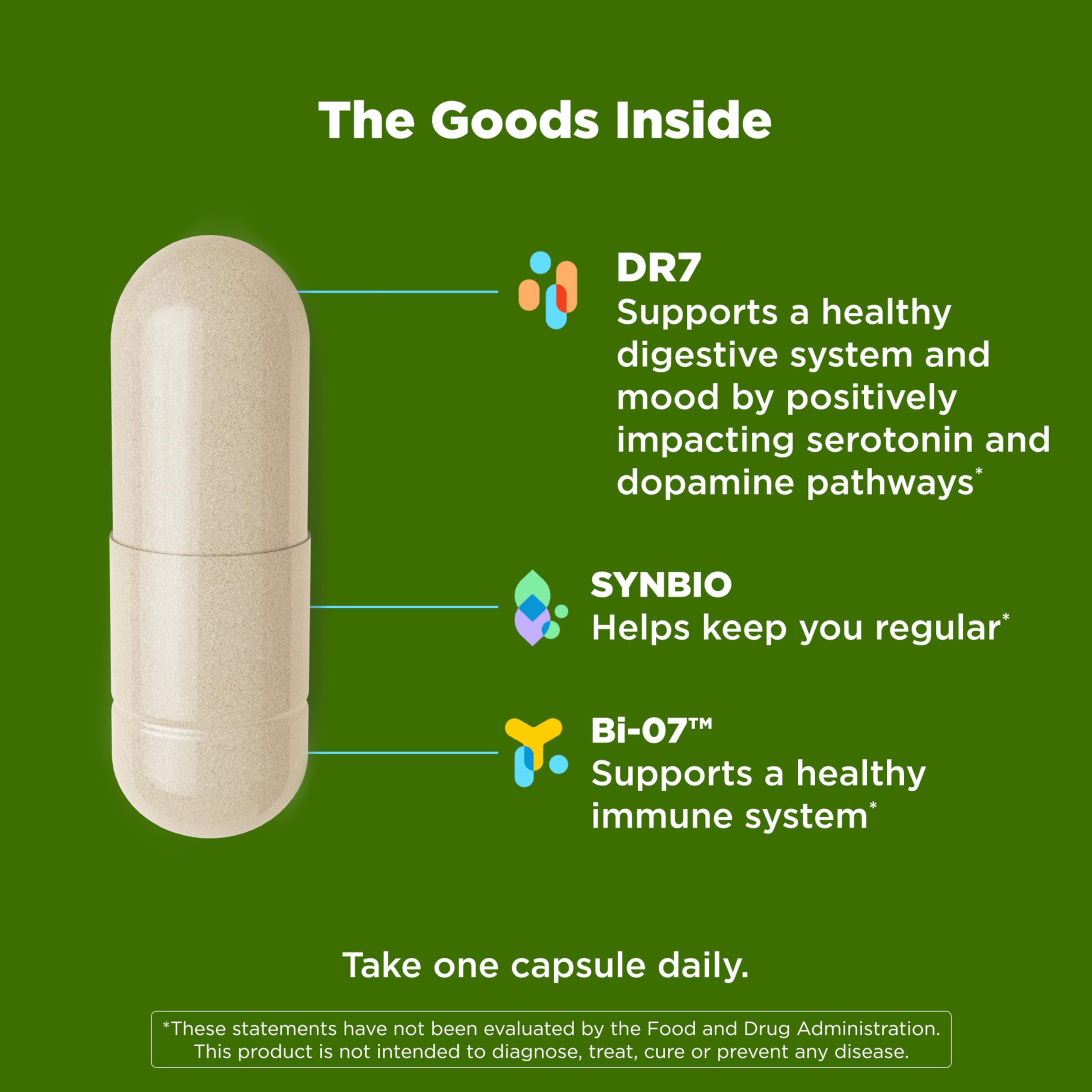 OLLY Big 10 Probiotic, Supports a Healthy Gut Microbiome,* 10 Billion CFUs, 30 Day Supply - 30 Count OLLY uk supplements