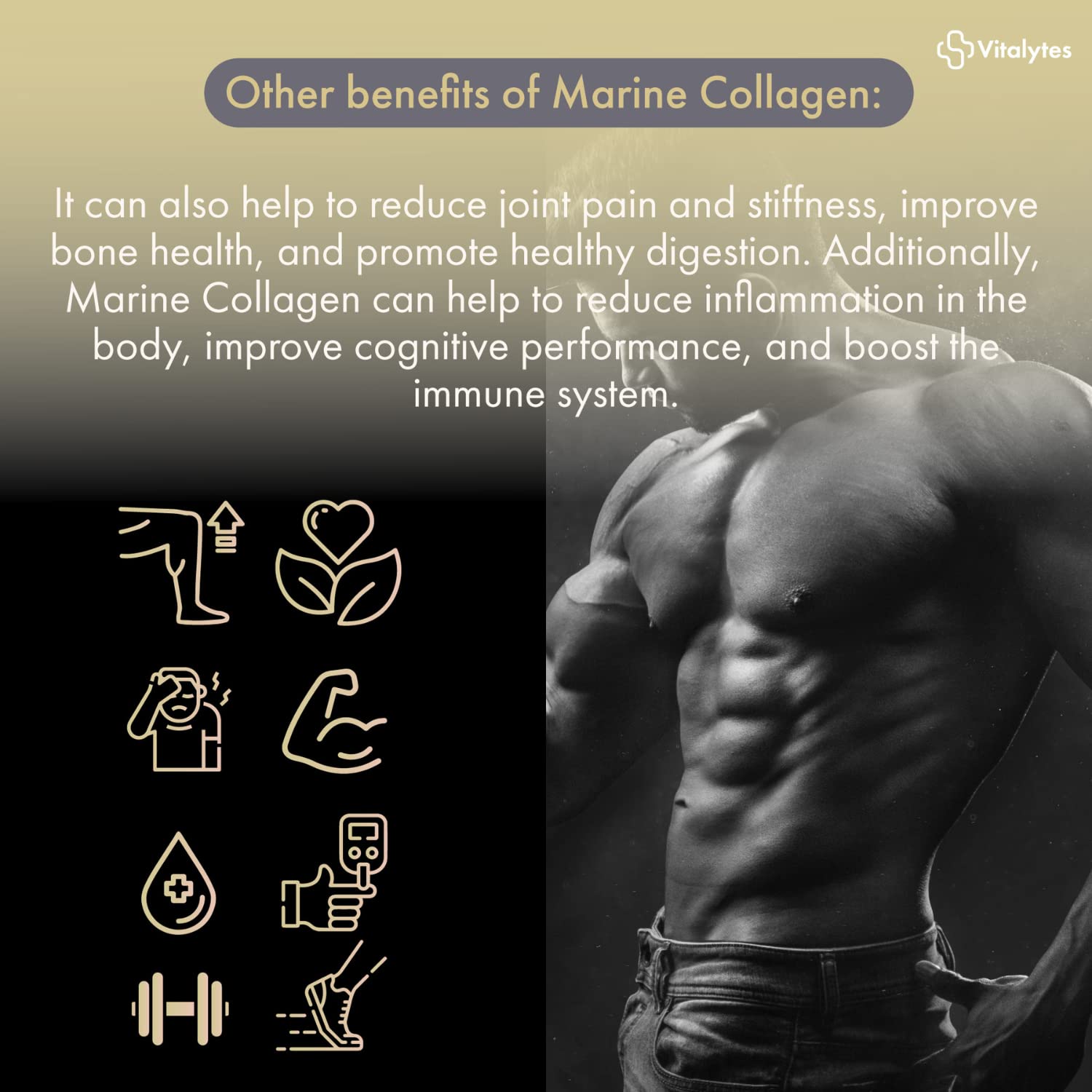 Vitalytes Marine Collagen Supplement 2400mg | 120 Marine Collagen Capsules Made in The UK Vitalytes uk supplements
