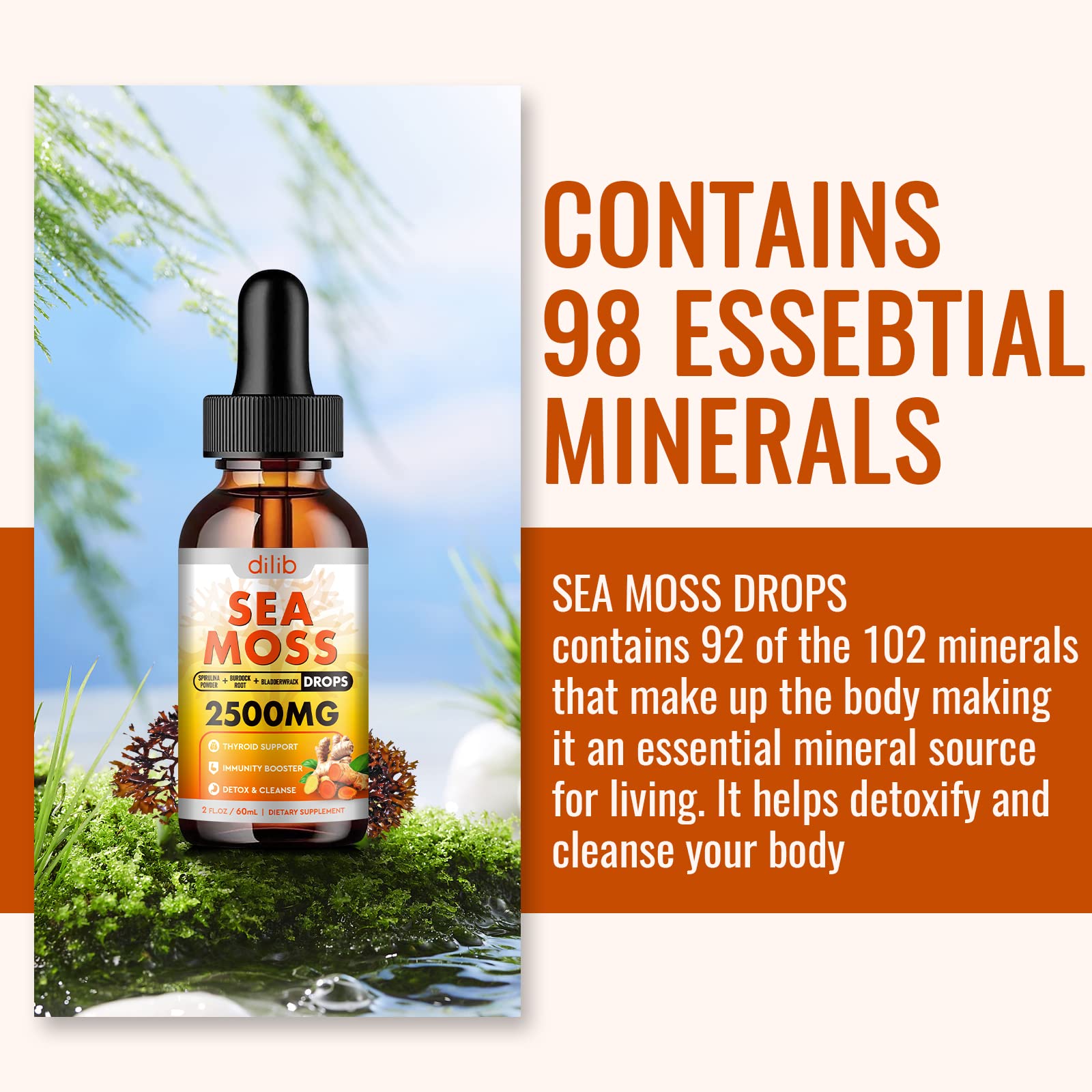 Sea Moss Liquid Drops: Organic Irish Sea Moss 2500mg with Turmeric, Bladderwrack dilib uk supplements