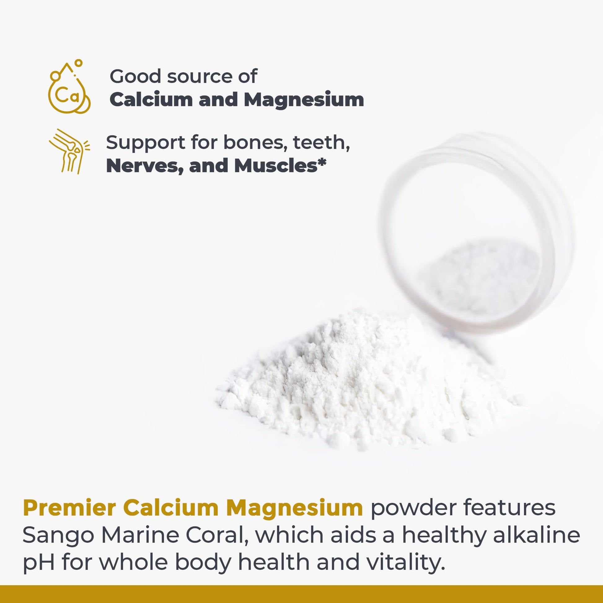 Premier Research Labs Calcium Magnesium Powder - Natural Coral Calcium Powder for Bone Health, Mix with Water for Alkaline PH Balance - 8 oz Premier Research Labs uk supplements