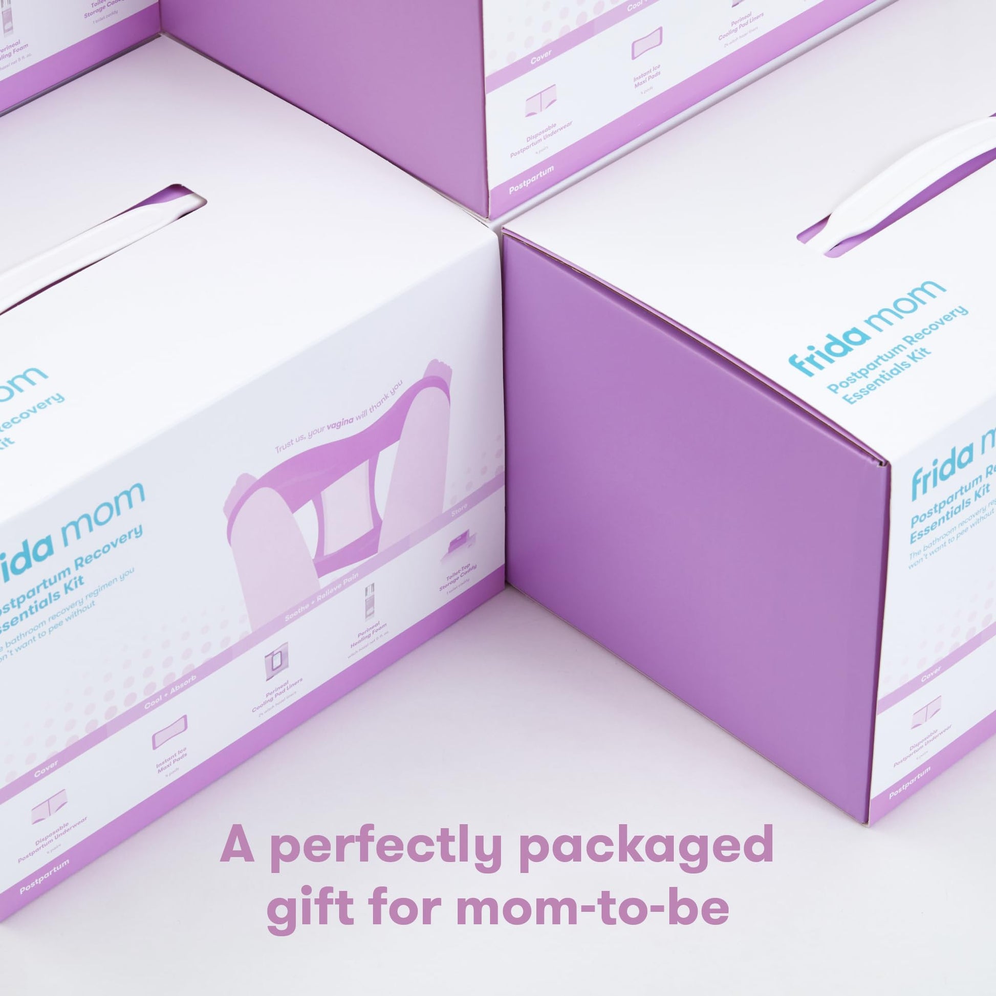 Frida Mom Postpartum Recovery Essentials Kit, New Mom Gifts, Cooling Pad Liners, Ice Maxi Pads Frida Mom uk supplements