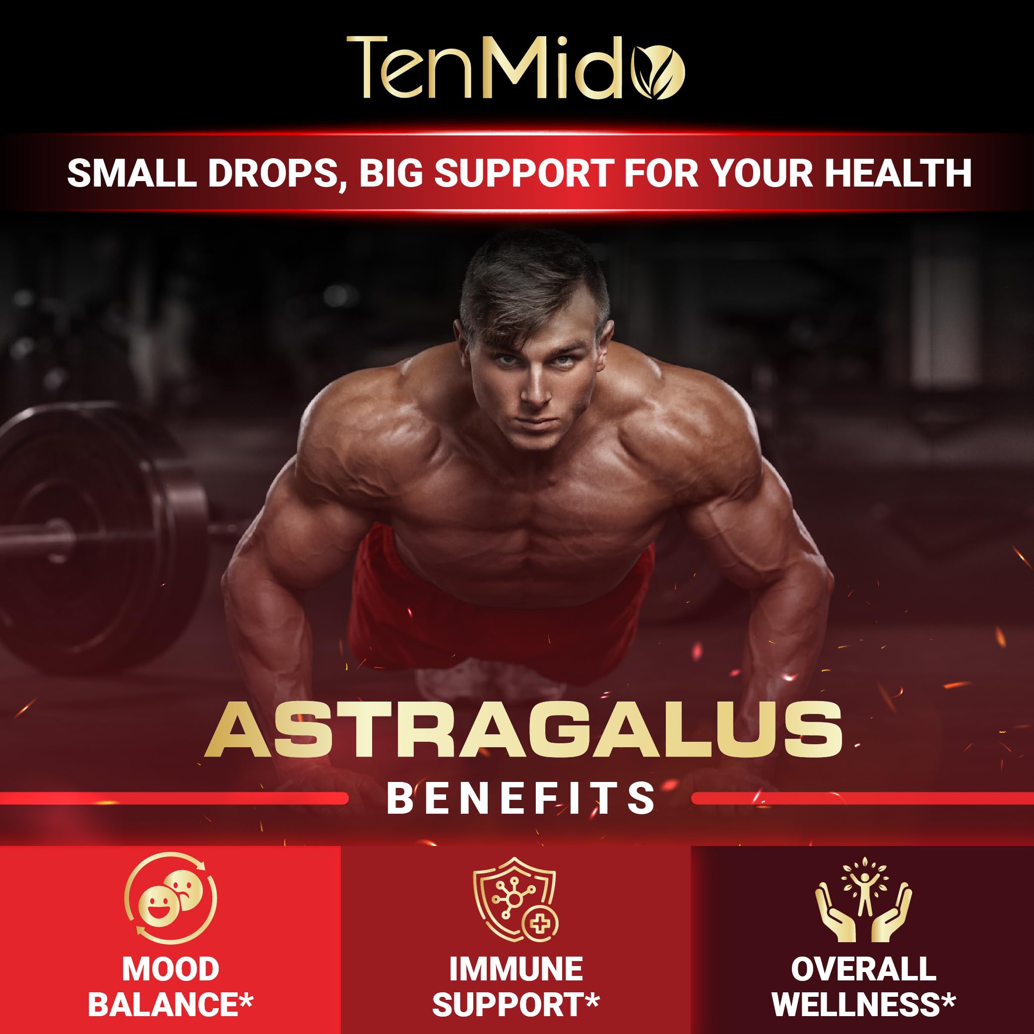 Tenmido 6-in-1 Astragalus Root Tincture - Herbal Extract Supplements with Quercetin, Rhodiola Rosea, Vitamin D3, Vitamin C, and Zinc - Vegan, Non-GMO - 30ml 1 Fl Oz Tenmido uk supplements