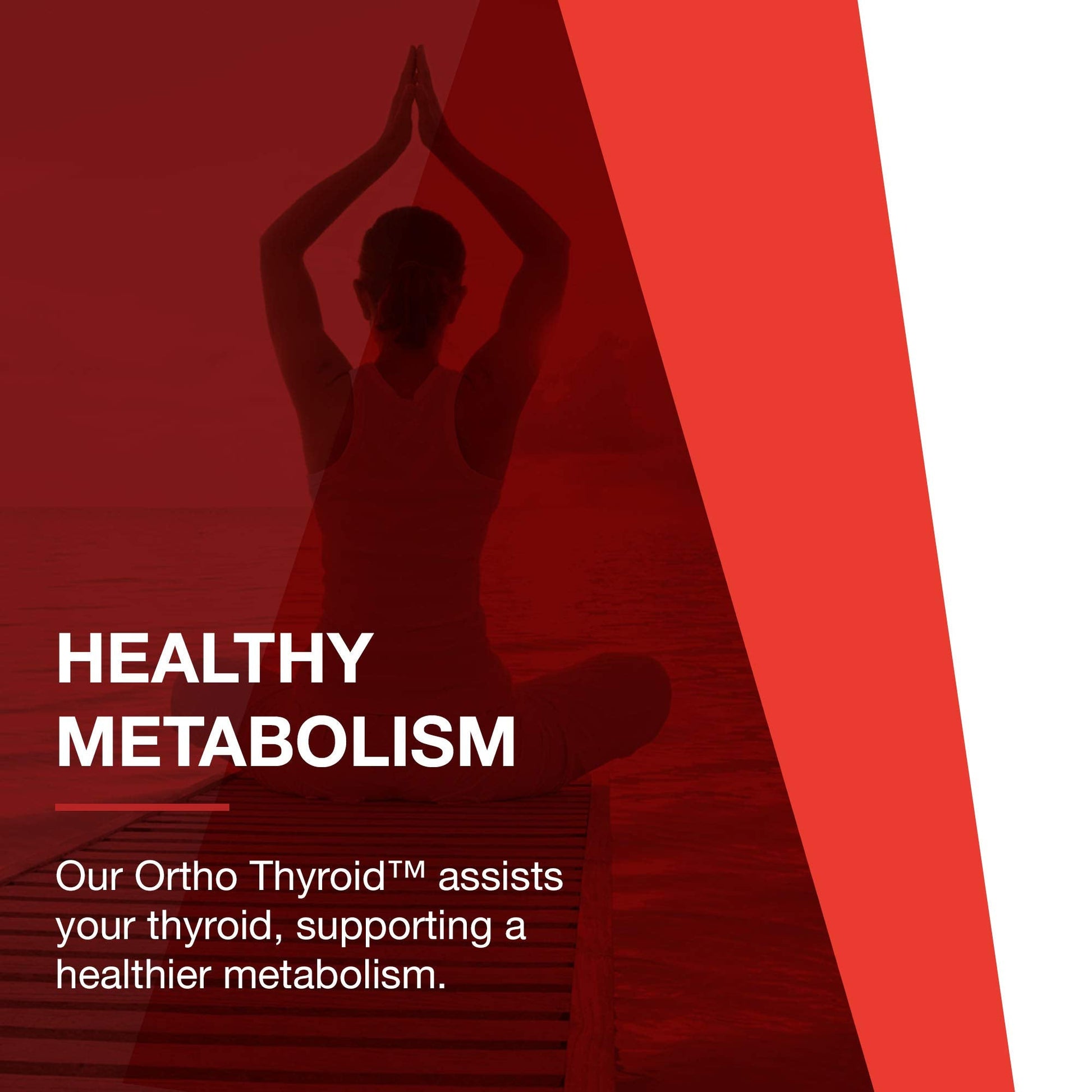 PROTOCOL FOR LIFE BALANCE Ortho Thyroid - Supports Healthy Thyroid Function* - with Ashwagandha, Zinc & Selenium - Non-GMO & Kosher - 90 Veg Capsules PROTOCOL FOR LIFE BALANCE uk supplements