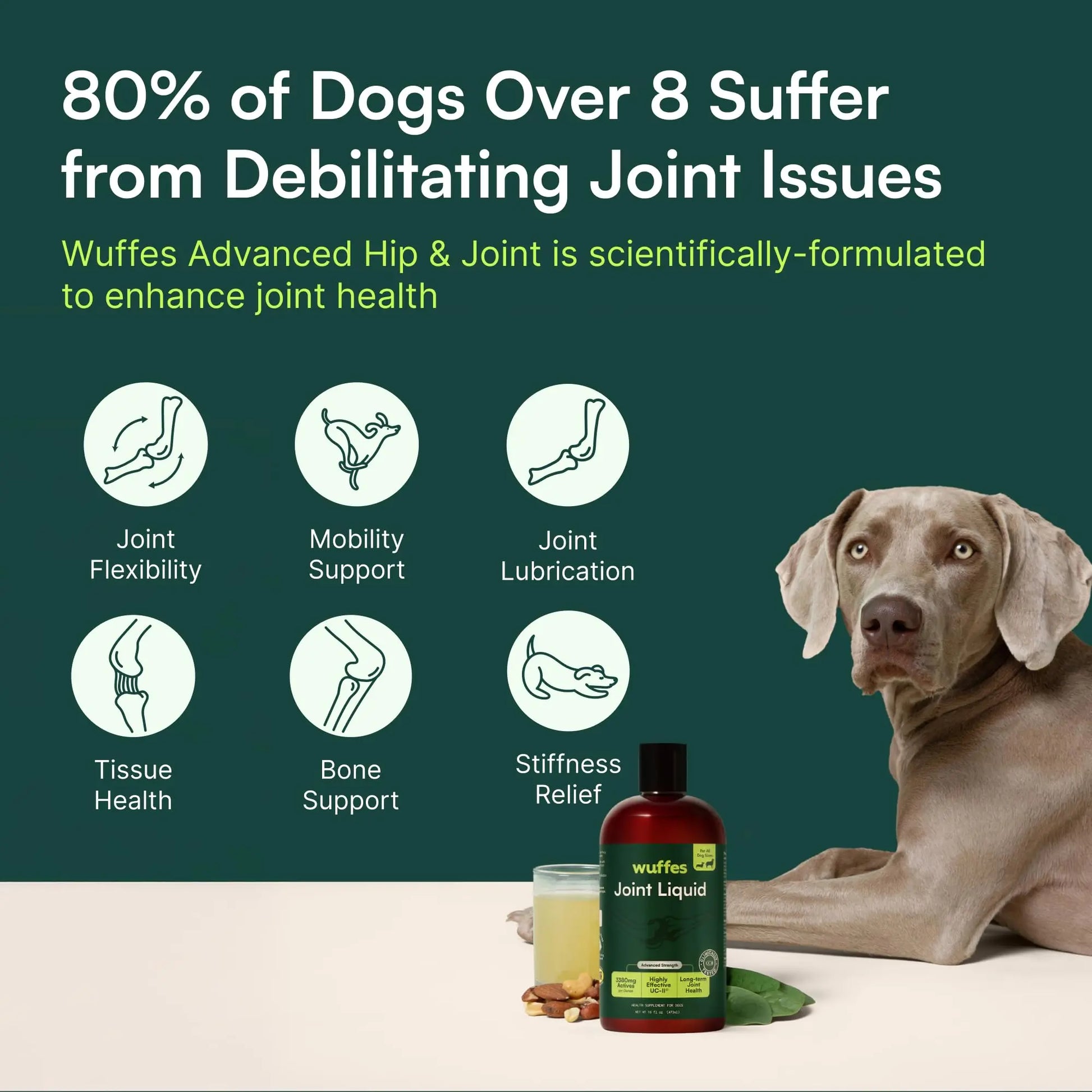 Wuffes Advanced Joint Liquid for Dogs, Hip & Joint Support Supplement with Glucosamine, Chondroitin, UC-II® Collagen, and MSM, for Small & Large Breeds, 16 Oz Wuffes uk supplements