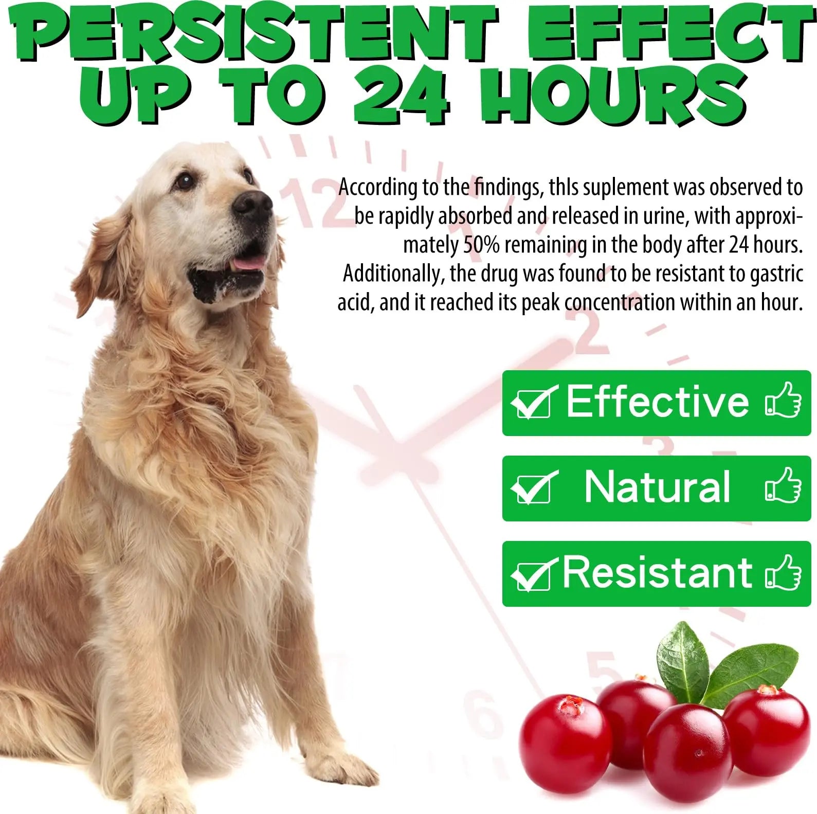 Dog UTI Treatment - Urinary Tract Infection Treatments, Kidney+Bladder Support Supplement, Natural Cranberry Extract for Dogs, Supports Urinary and Digestive Health (2 Fl Oz (Pack of 2)) Onznoz uk supplements