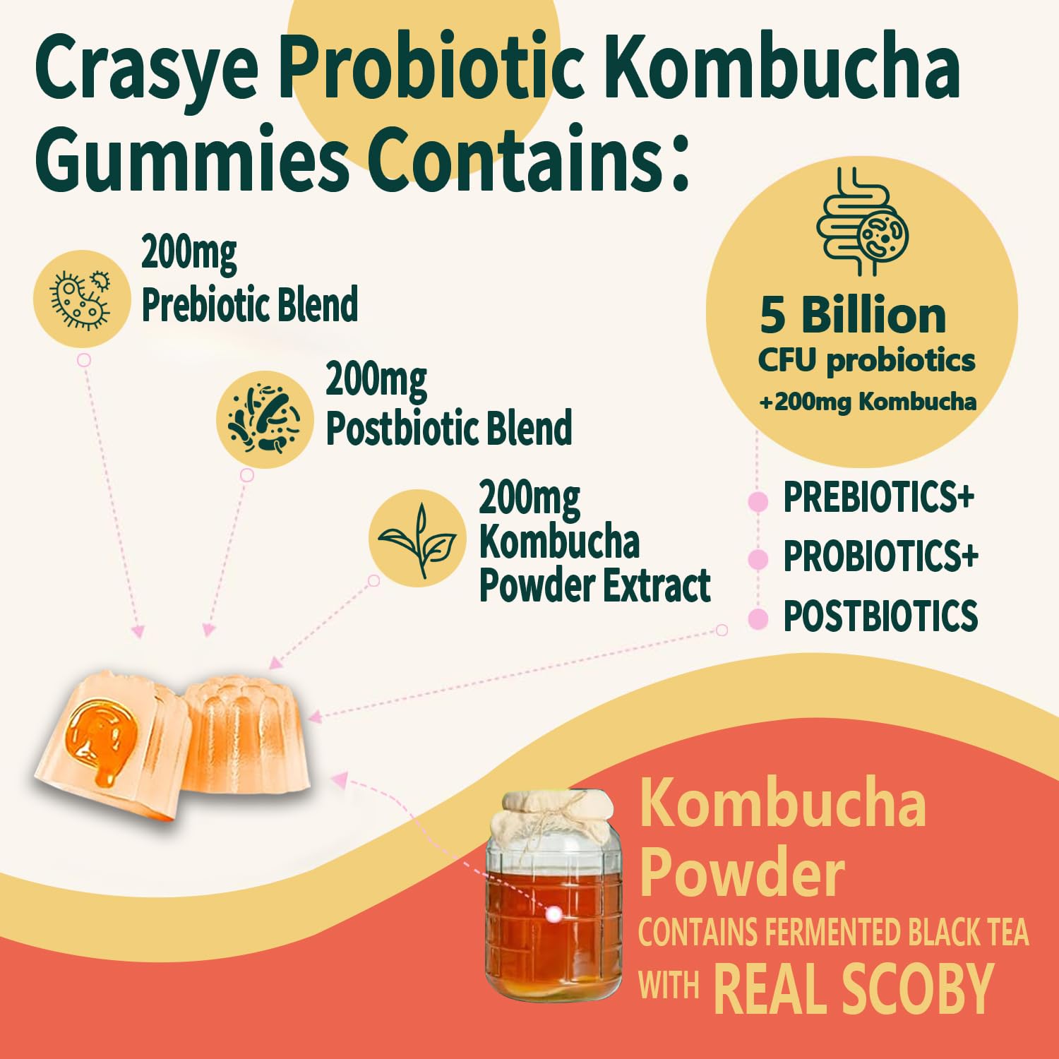 Crasye Probiotic Kombucha Gummies Sugar Free Prebiotic Postbiotic Probiotics Gummy for Women and Men Bloating Gut Health Immune and Digestive Support - 60 Gummies - 30 Servings Crasye uk supplements