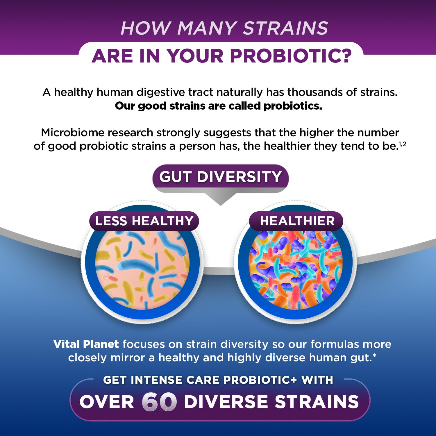 Vital Planet - Intense Care Brain & Mood Probiotics, Organic Prebiotics, Postbiotics, Parabiotics, Complete 4-in-1 Health Supplement for Adults, 65 Billion CFU, 67 Strains, Digestive and Immune 30 ct Vital Planet uk supplements
