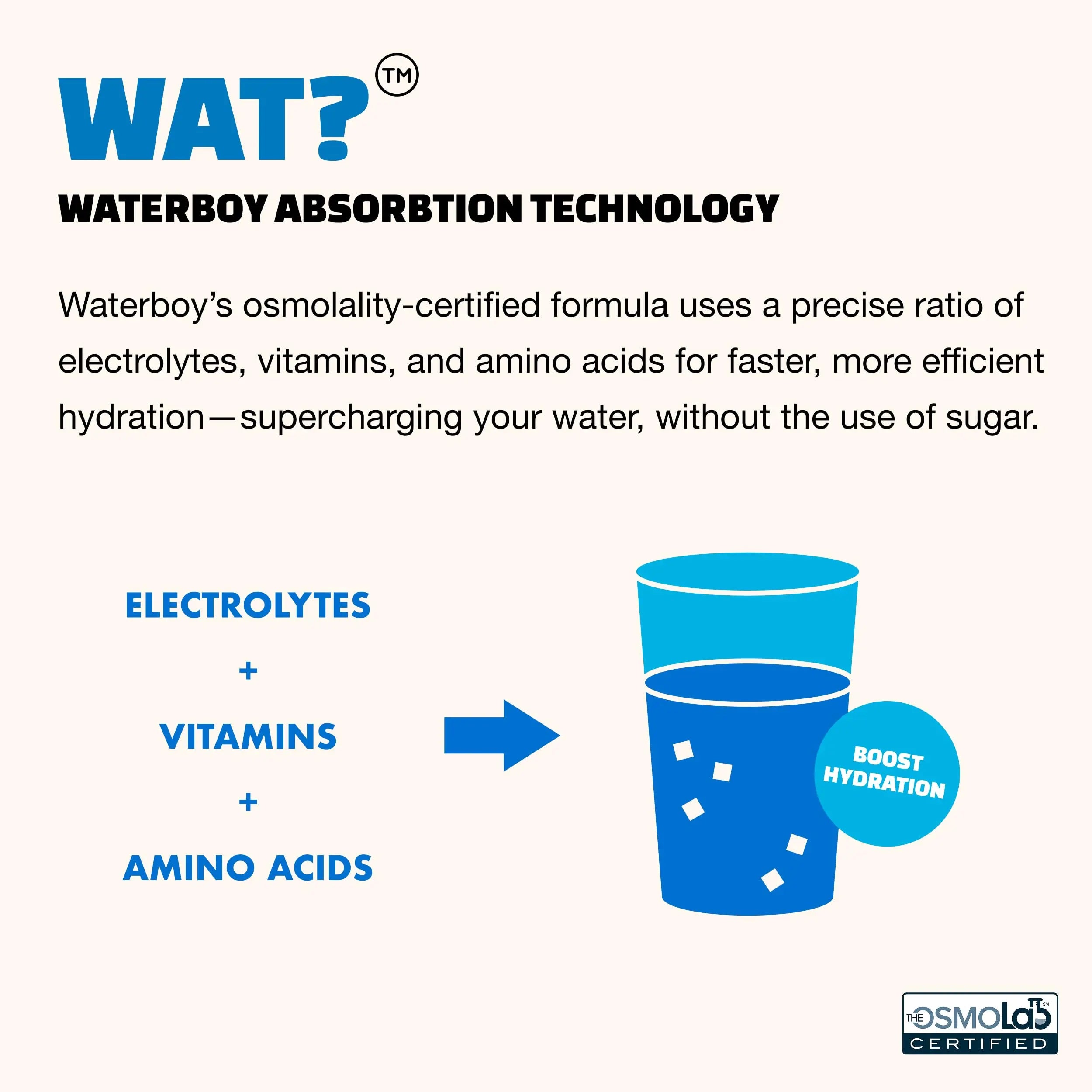 Waterboy Hydration Recovery Variety | 4-9x Electrolyte Powder Packets | Ginger + L-Theanine + L-Glutamine + Vitamins | No Sugar, All Natural, Gluten Free Waterboy uk supplements