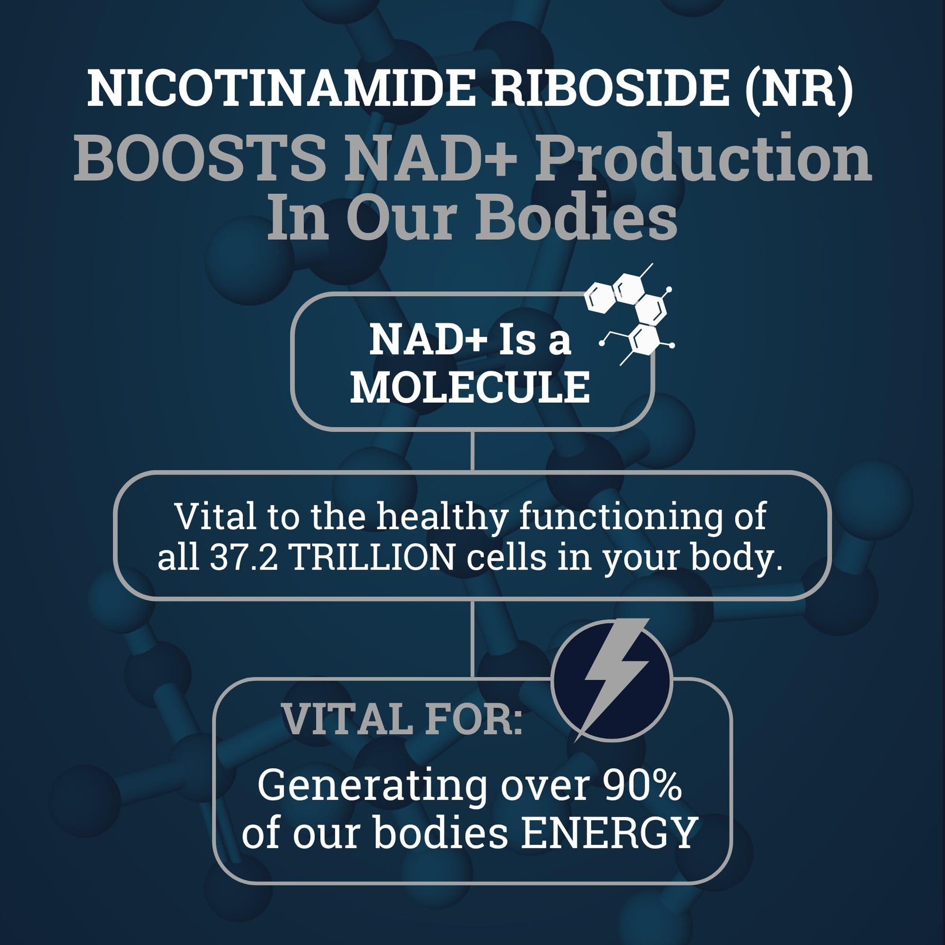 Black Forest NAD Nicotinamide Riboside 900 mg (Liposomal Nicotinamide Riboside 900mg Resveratrol, Quercetin 500mg & 150mg of NAD Resveratrol Supplement) 1550 MGS NR Supplement 900mg NAD+ Black Forest uk supplements