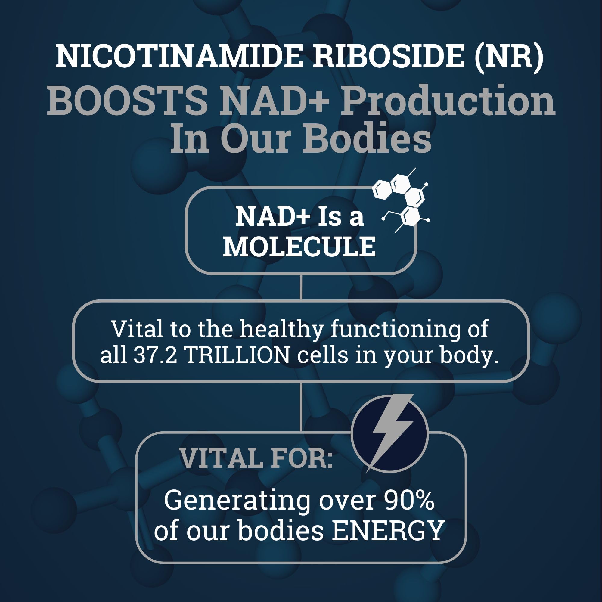 Black Forest NAD Nicotinamide Riboside 900 mg (Liposomal Nicotinamide Riboside 900mg Resveratrol, Quercetin 500mg & 150mg of NAD Resveratrol Supplement) 1550 MGS NR Supplement 900mg NAD+ Black Forest uk supplements