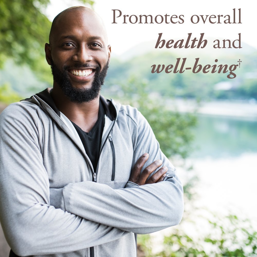 Garden of Life Organics Whole Food Multivitamin for Men 40+ 120 Tablets, Vegan Mens Multi for Health Garden of Life uk supplements